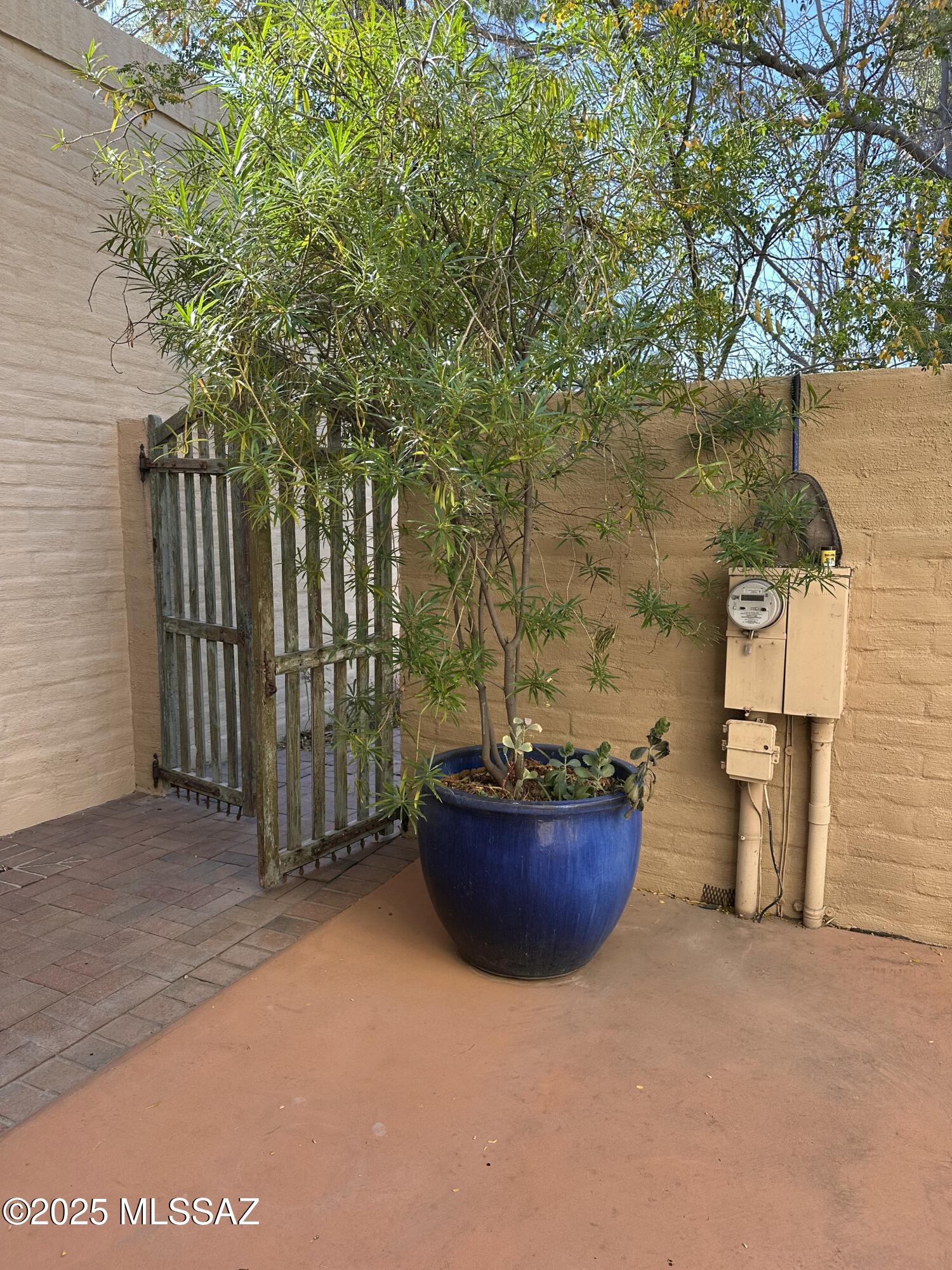 2853 East Sierra Vista Road Tucson, AZ 85716 - Photo 10 of 44