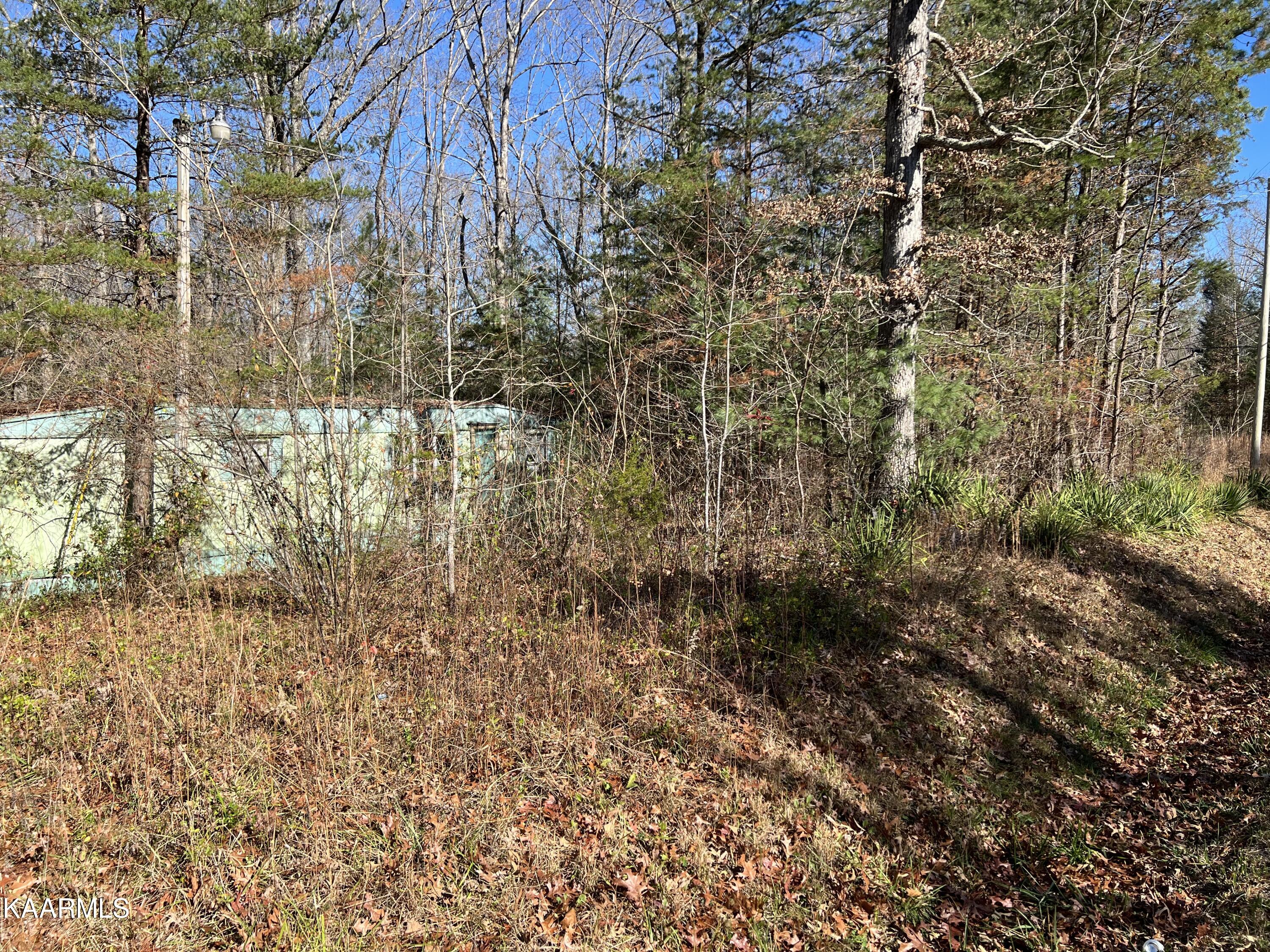 820 Genesis Road Lancing, TN 37770 - Photo 1 of 10 BB564C6A-DA7E-483A-A0A3-8F7A3930080B