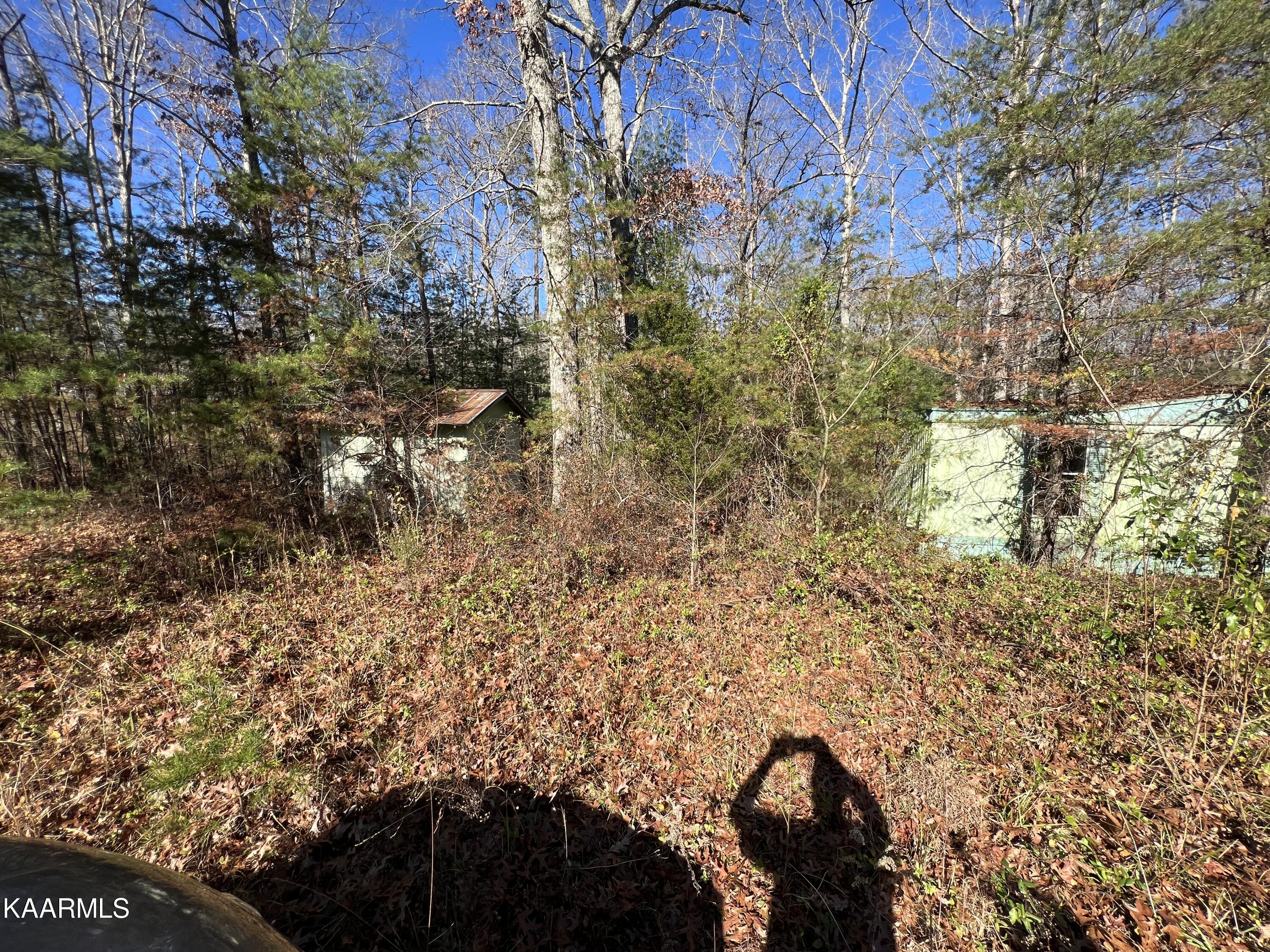 820 Genesis Road Lancing, TN 37770 - Photo 2 of 10 512571A2-4658-4239-833B-607474BD846B