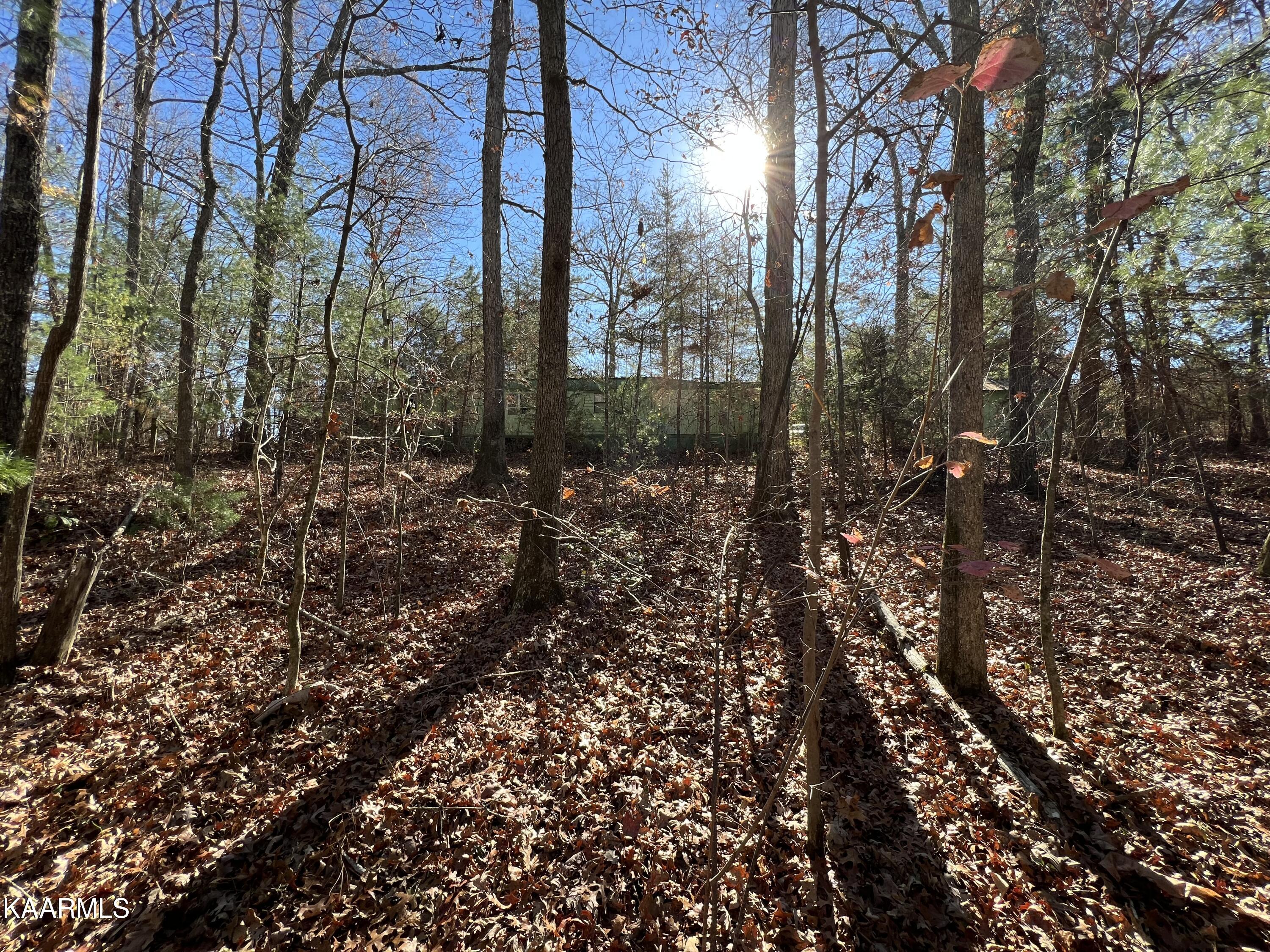 820 Genesis Road Lancing, TN 37770 - Photo 3 of 10 BAD67610-D0BA-4291-849D-DDD4A2410B1D