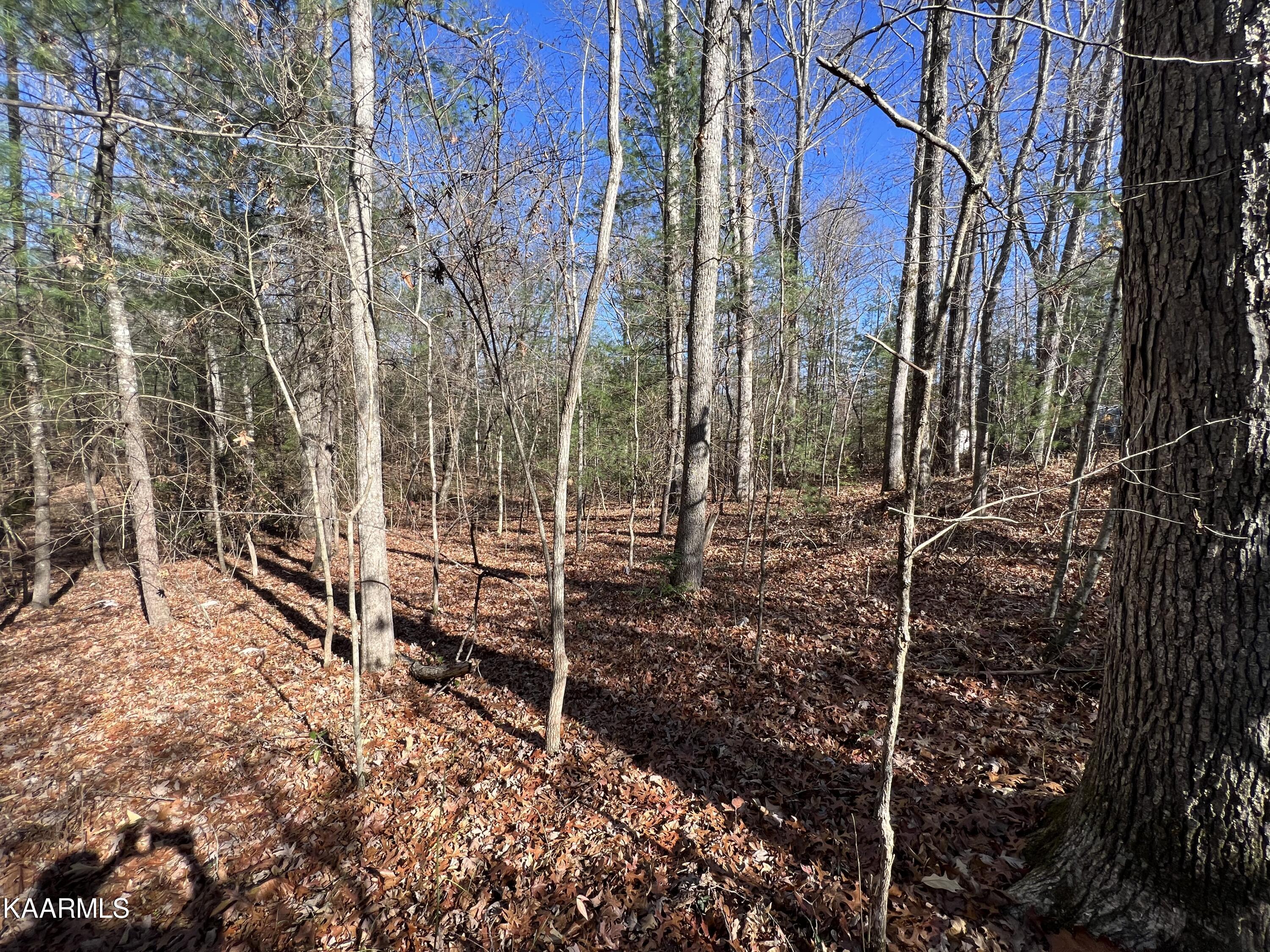 820 Genesis Road Lancing, TN 37770 - Photo 7 of 10 53CCA3F5-E9EB-44BA-9766-324B374A3762