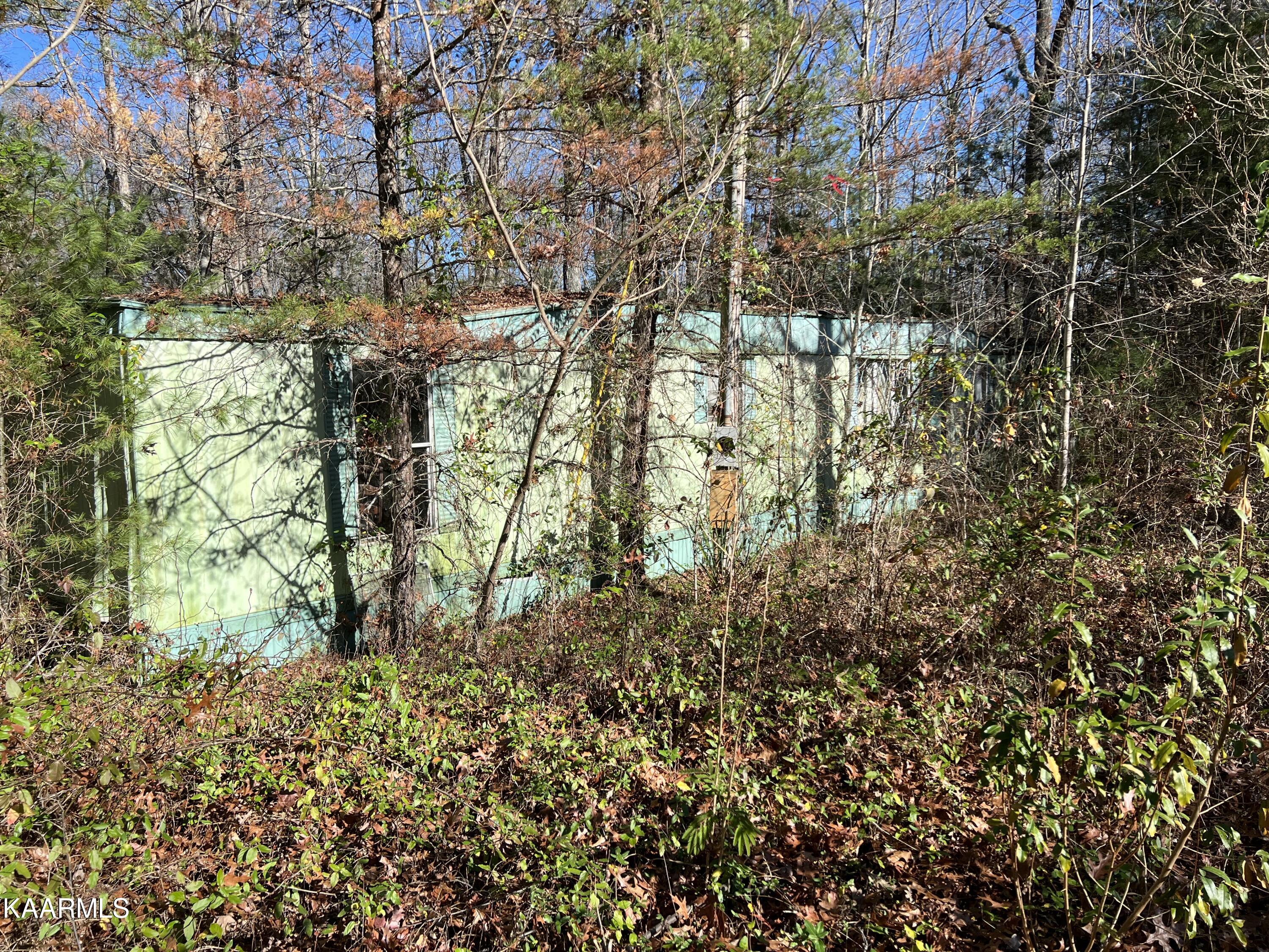 820 Genesis Road Lancing, TN 37770 - Photo 9 of 10 5C555A34-985E-4597-8C0A-0619099F7A04