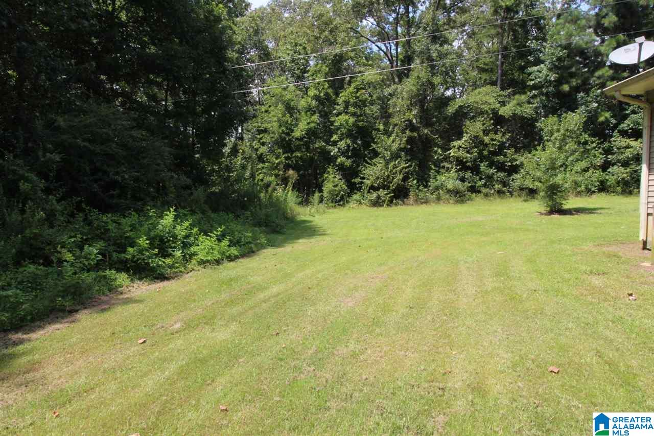 51 Harold Lane Ohatchee, AL 36271 - Photo 17 of 19