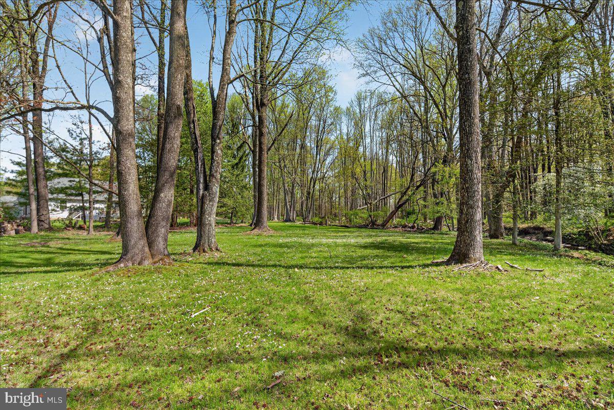 159 Bull Run Road Pennington, NJ 08534 - Photo 49 of 54 Gallery Image 49