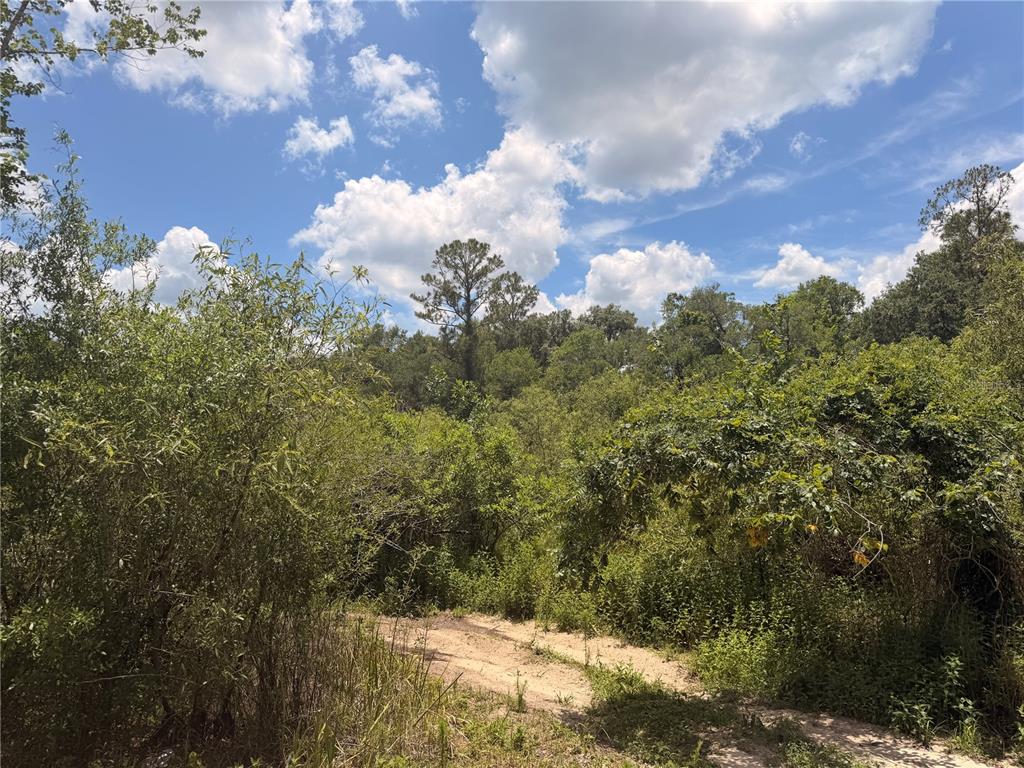 3 Chipstone Street Webster, FL 33597 - Photo 3 of 6