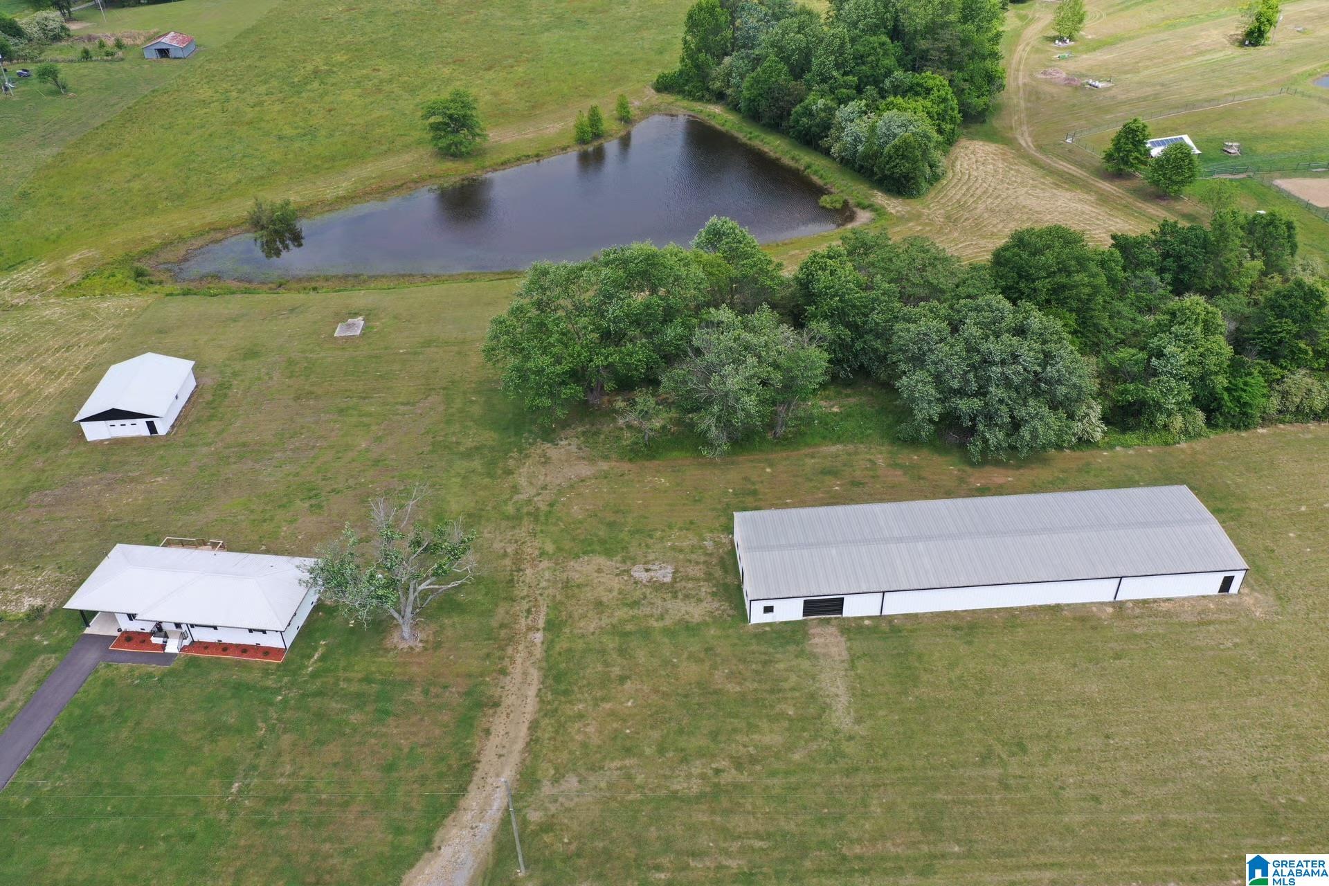 245 Schoolhouse Road Baileyton, AL 35019 - Photo 2 of 20