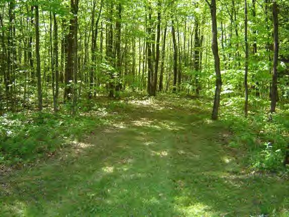 1074 Water Farm Road Sheffield, MA 01230 - Photo 6 of 6 Additional Photo