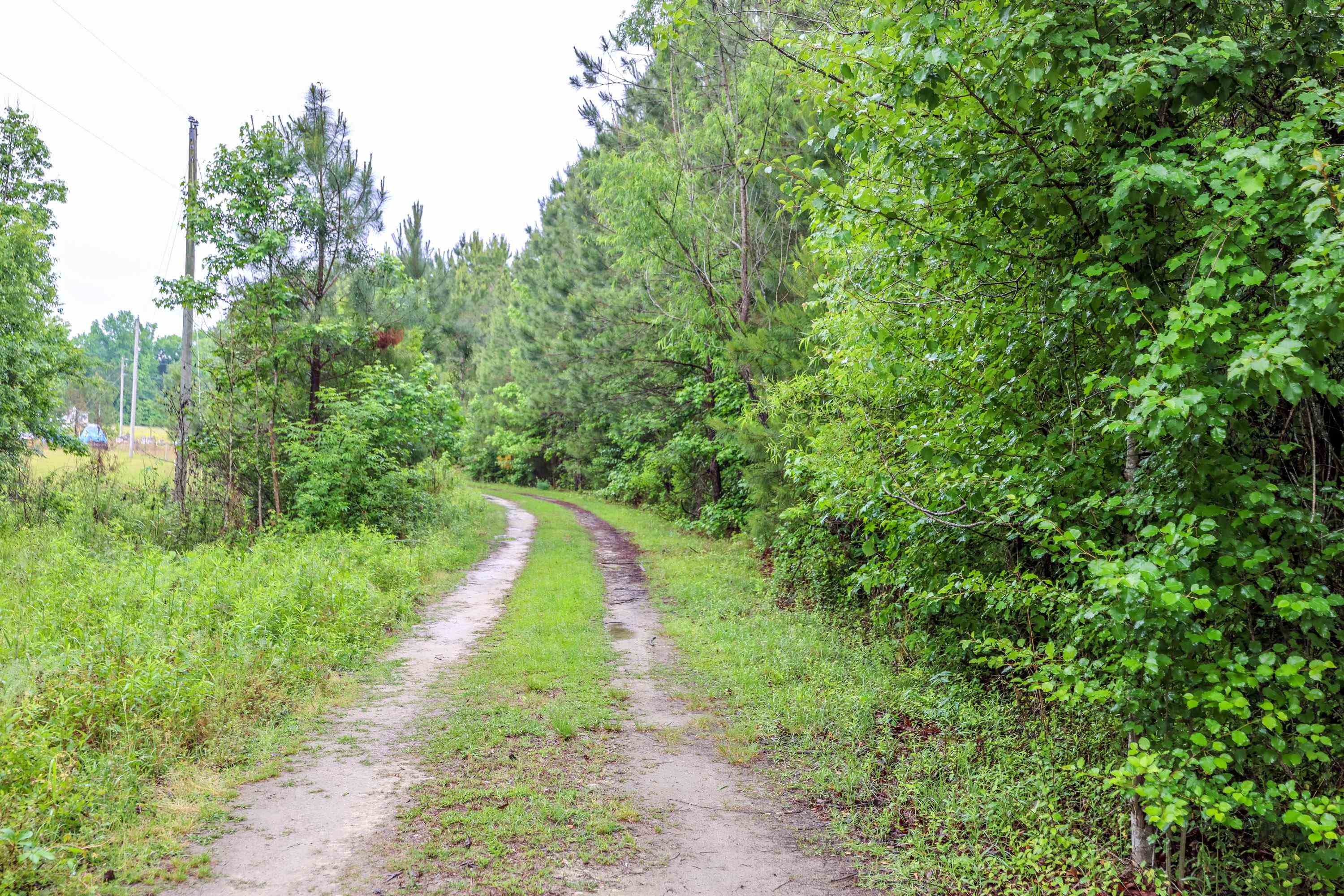 581 Roberts Road Aynor, SC 29544 - Photo 5 of 10 Gallery Image 5
