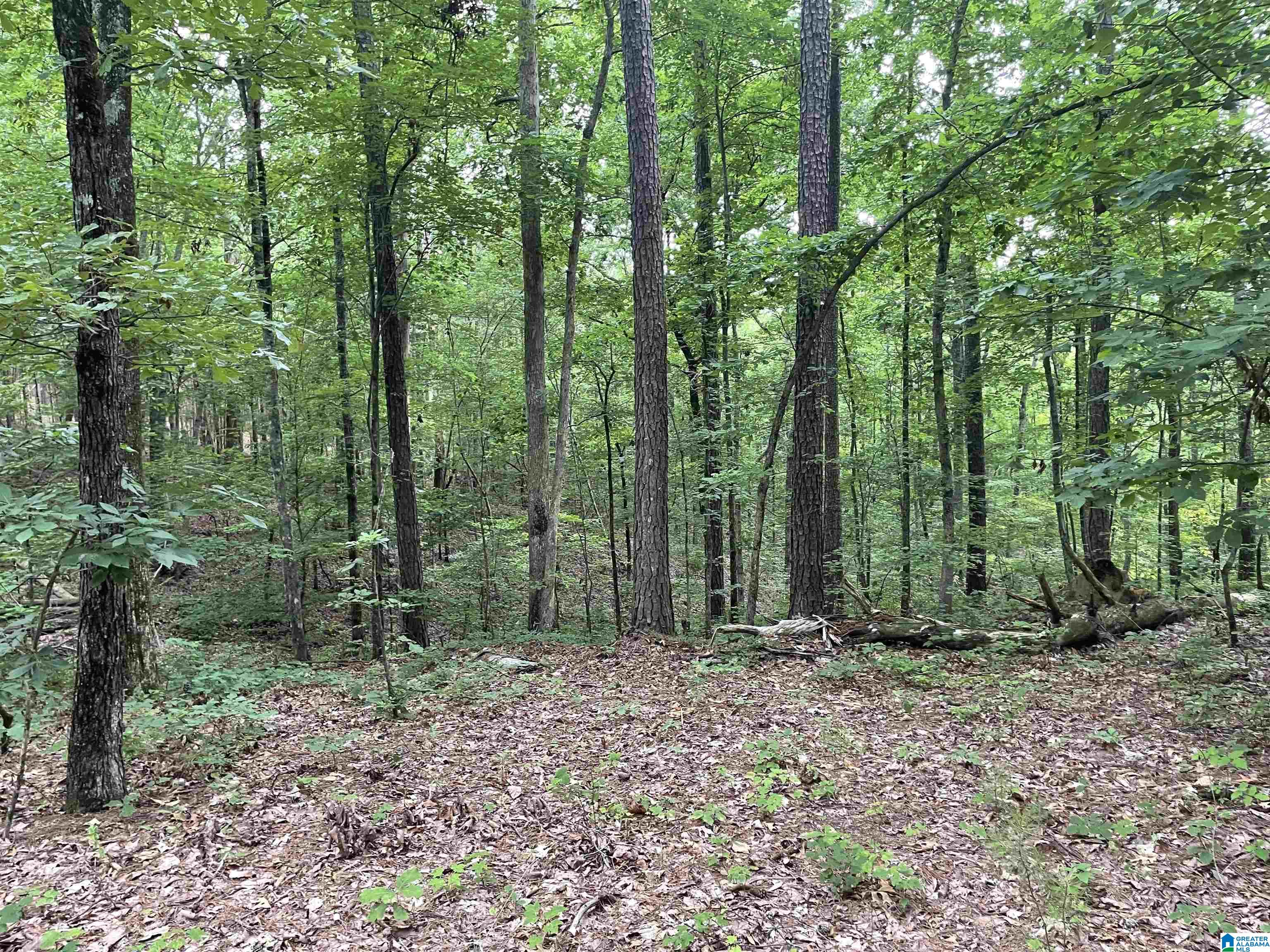 0 Divided Ridge Road, Unit 9 Ragland, AL 35131 - Photo 11 of 40
