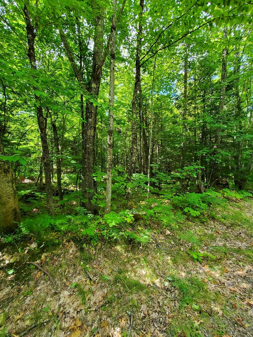 Lot 9 North Hatch Hill Road Greene, ME 04236 - Photo 3 of 4 3