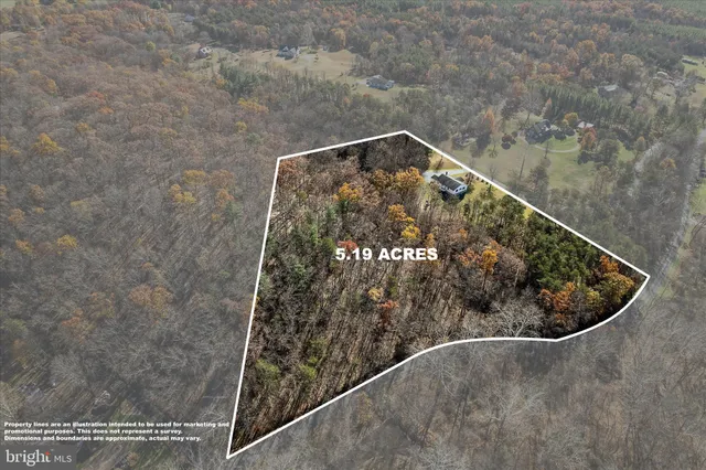 a big yard with lots of green space and trees