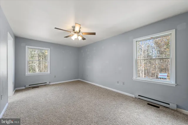 a view of a park with large trees