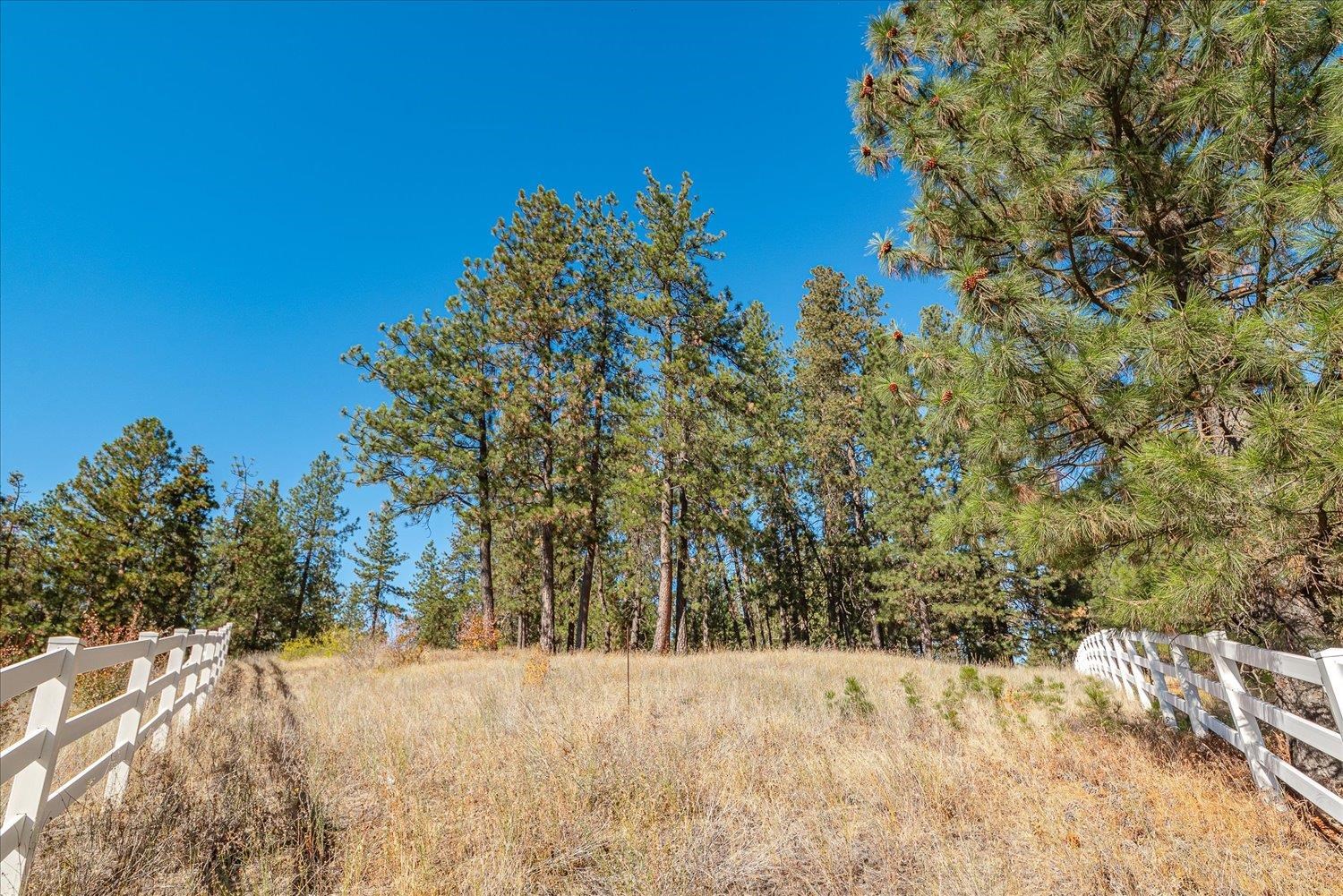 0 Parcel 46292.9085 Road Spokane, WA 99217 - Photo 13 of 41