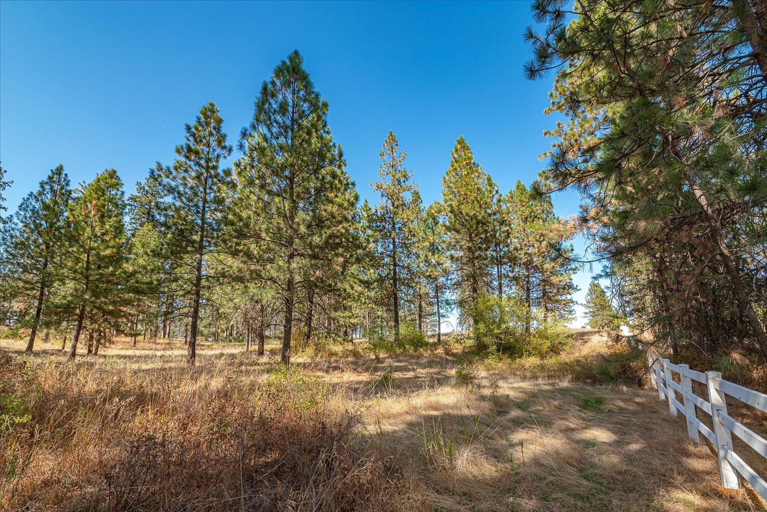 0 Parcel 46292.9085 Road Spokane, WA 99217 - Photo 14 of 41