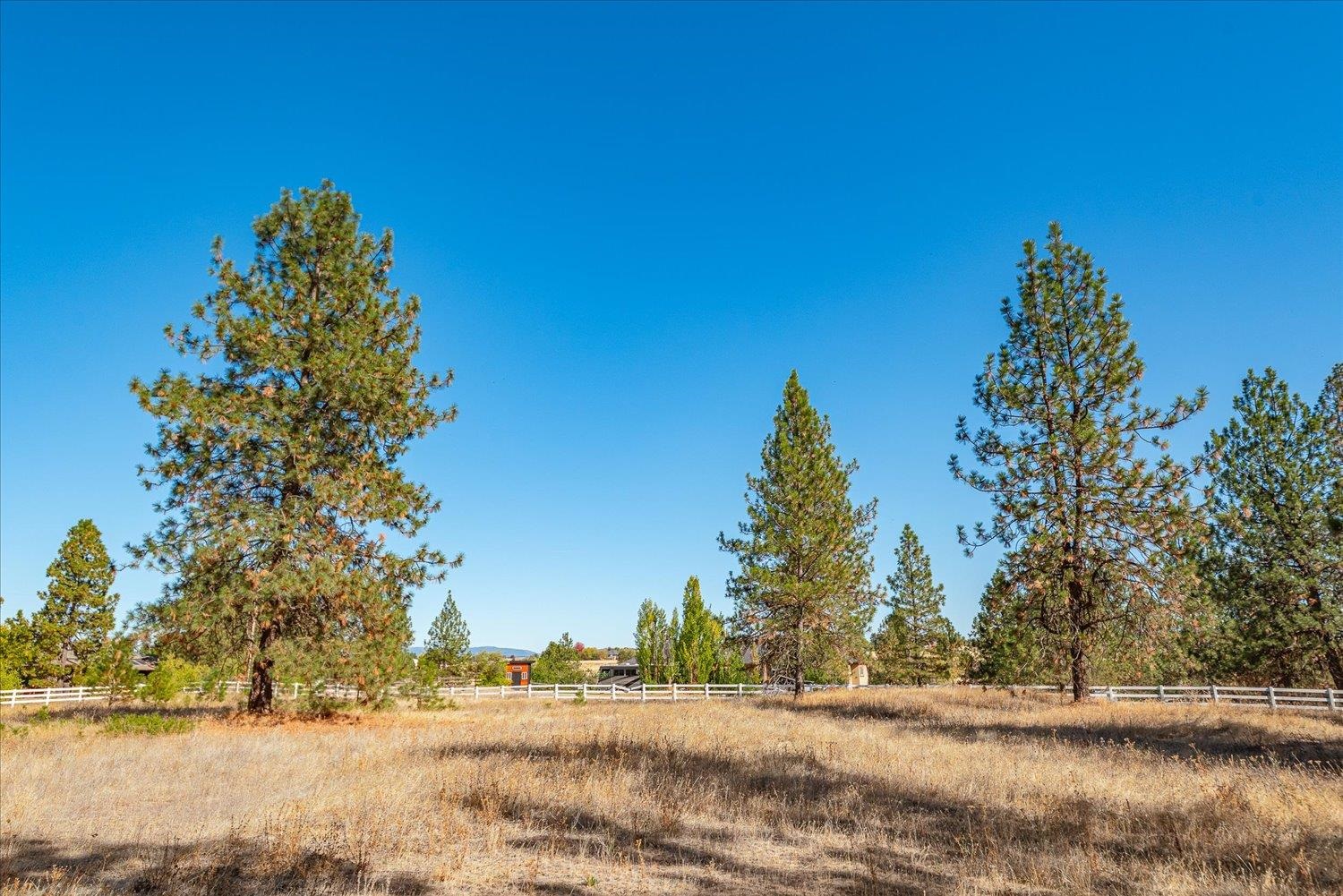 0 Parcel 46292.9085 Road Spokane, WA 99217 - Photo 16 of 41