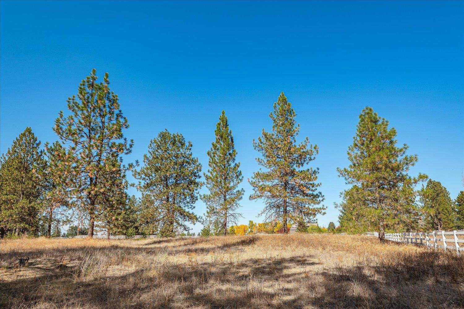 0 Parcel 46292.9085 Road Spokane, WA 99217 - Photo 5 of 41