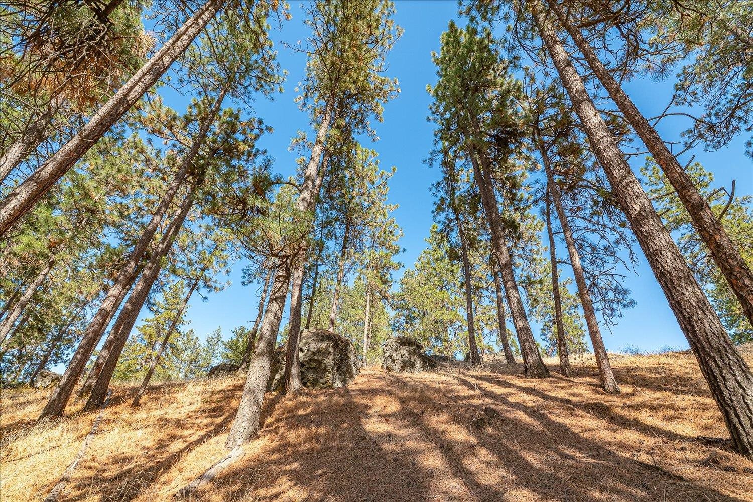 0 Parcel 46292.9085 Road Spokane, WA 99217 - Photo 9 of 41