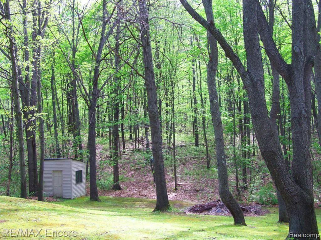 9965 Bridge Lake Road Clarkston, MI 48348 - Photo 33 of 34 Rolling landscape and complete privacy