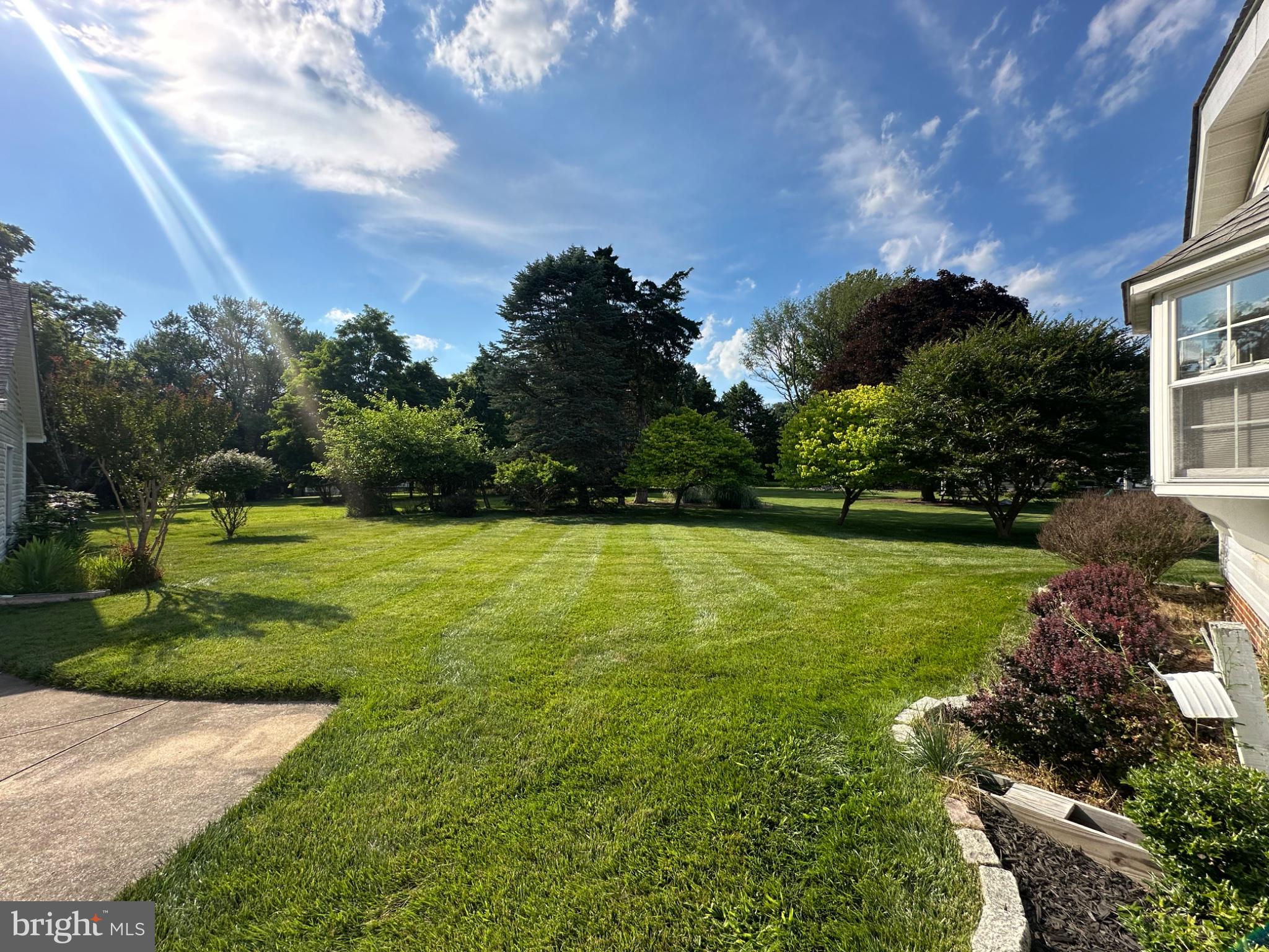 14616 Sturtevant Road Silver Spring, MD 20905 - Photo 35 of 44 Lush green oasis under blue skies.