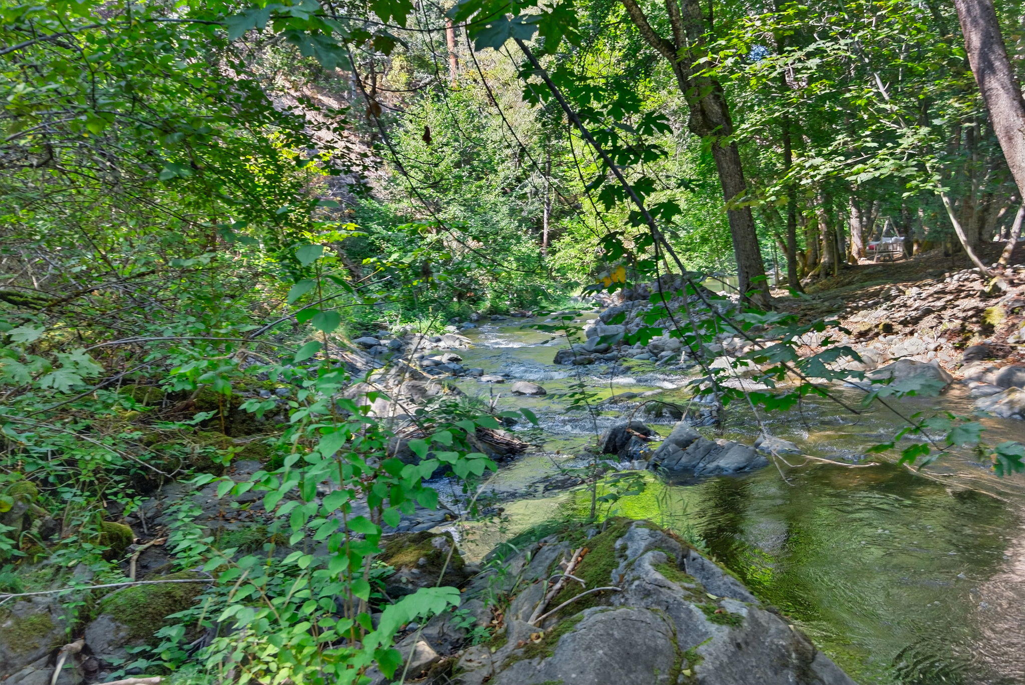3950 Little Applegate Road Jacksonville, OR 97530 - Photo 3 of 21 Gallery Image 3