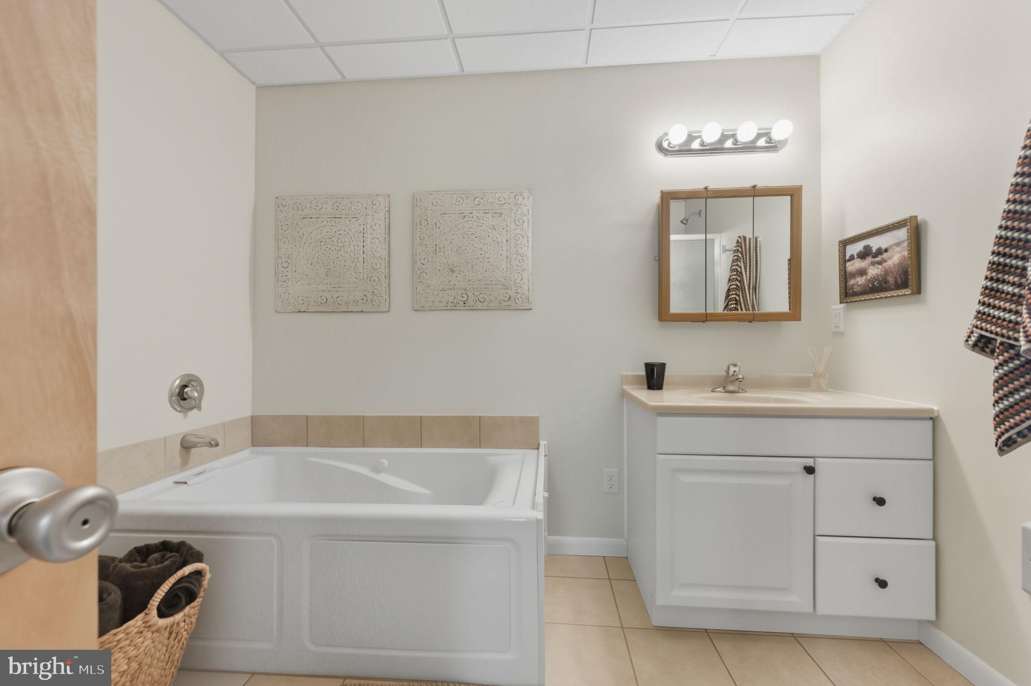 20949 Johnson Road Lincoln, DE 19960 - Photo 14 of 33 a bathroom with a sink a vanity and a mirror