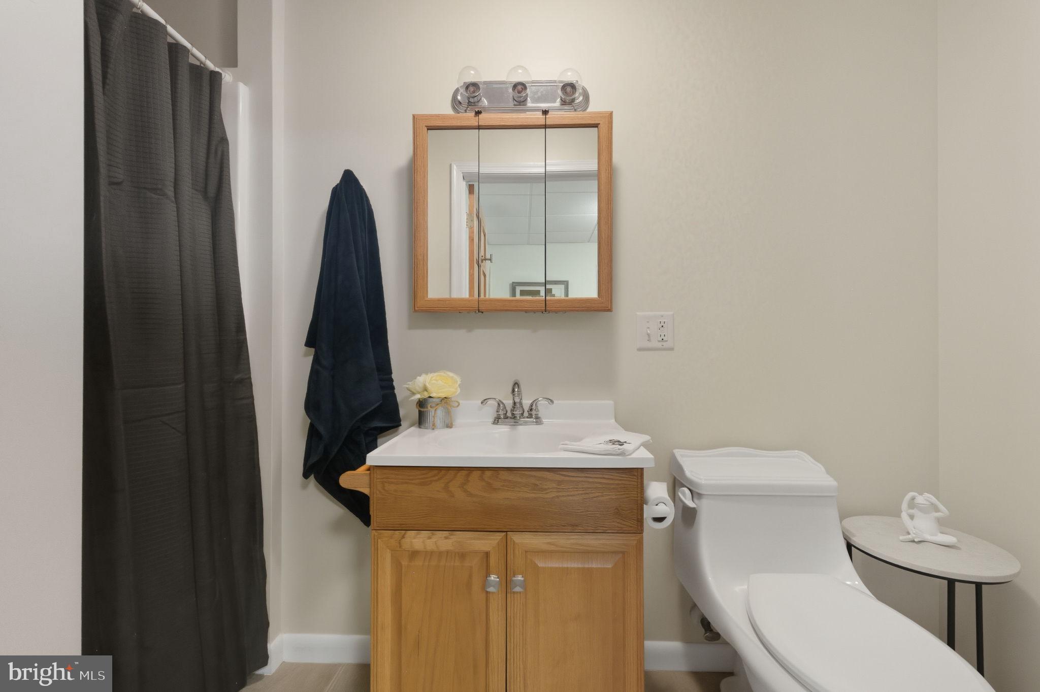 20949 Johnson Road Lincoln, DE 19960 - Photo 9 of 33 a bathroom with a toilet sink and mirror