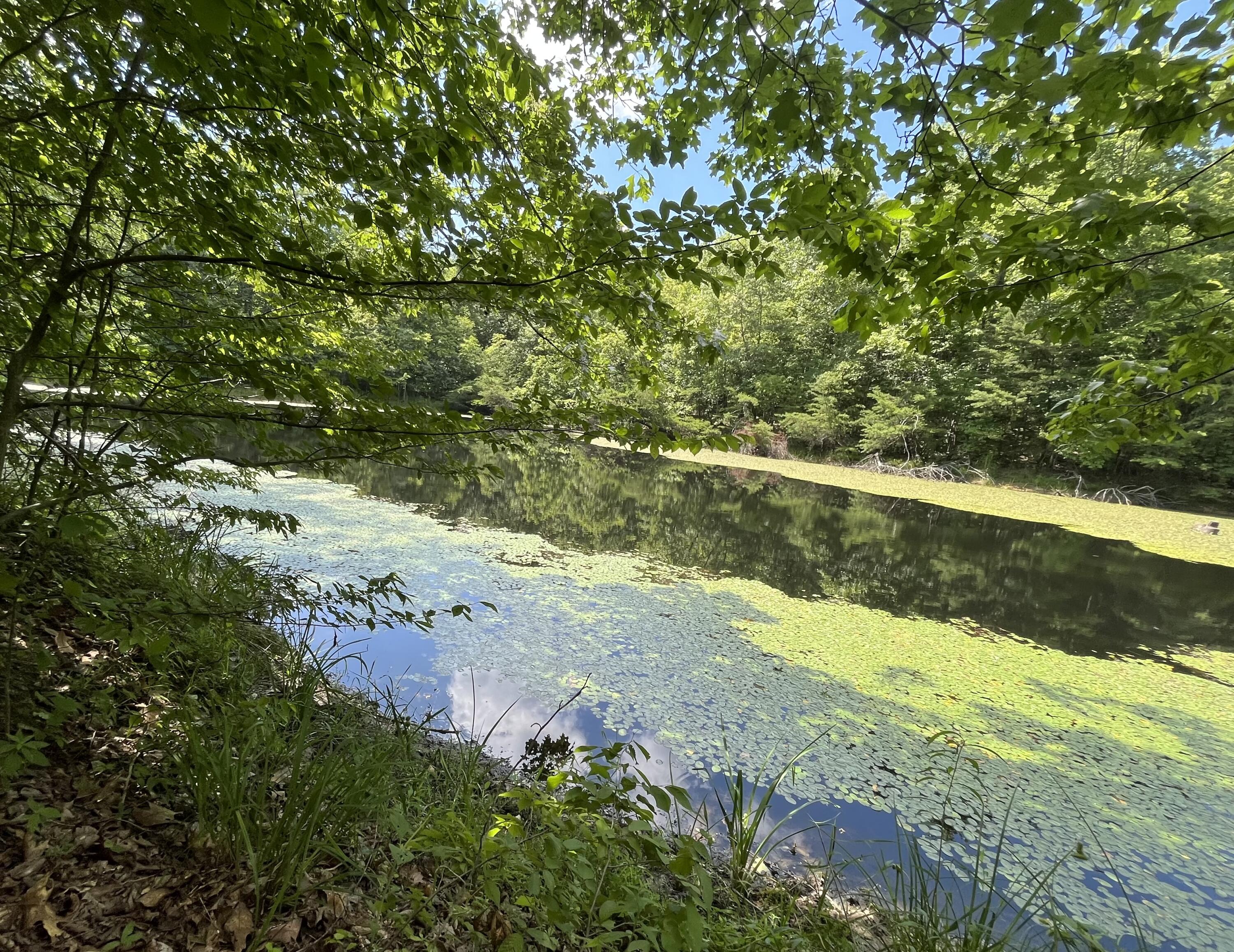 650 Ditney Ridge Road Morehead, KY 40351 - Photo 33 of 37 Lake Again