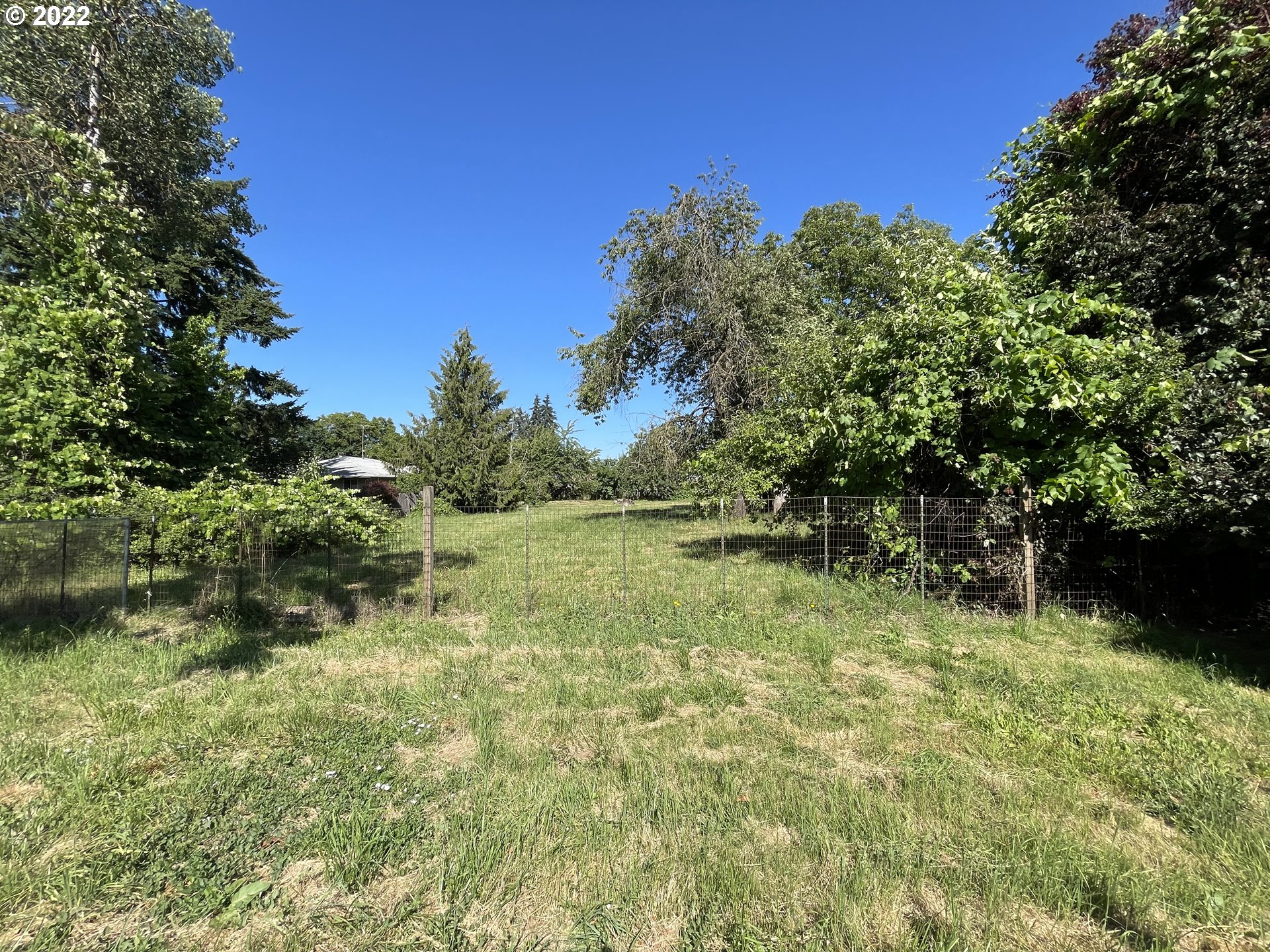 443 South 34th Street Springfield, OR 97478 - Photo 3 of 13 a backyard of a house with lots of green space