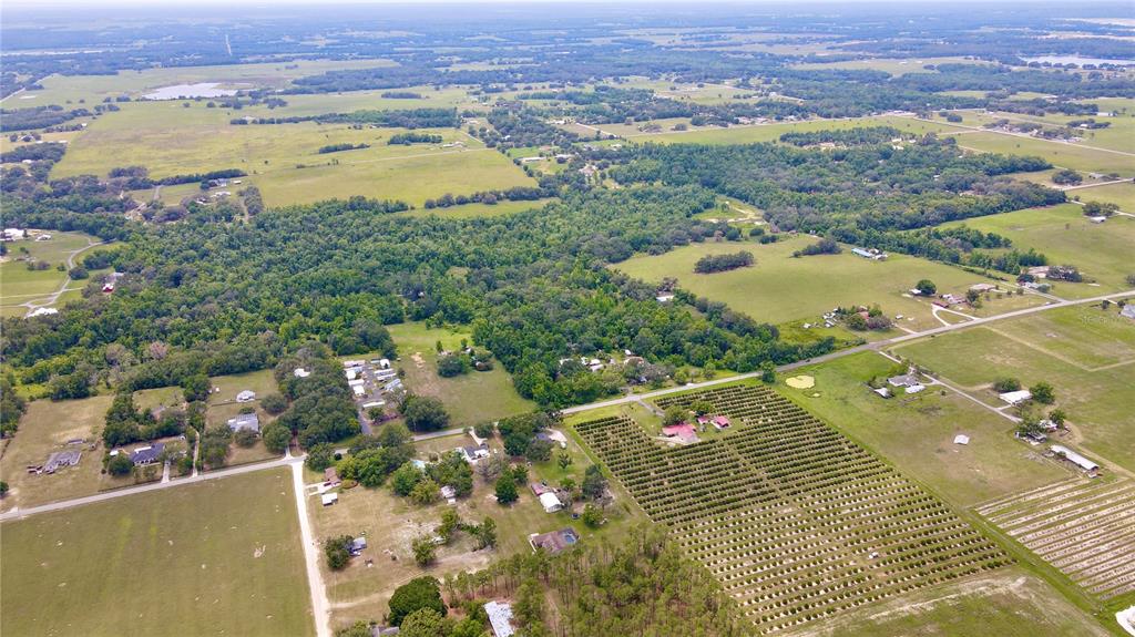 14435 Curley Road Dade City, FL 33525 - Photo 3 of 52