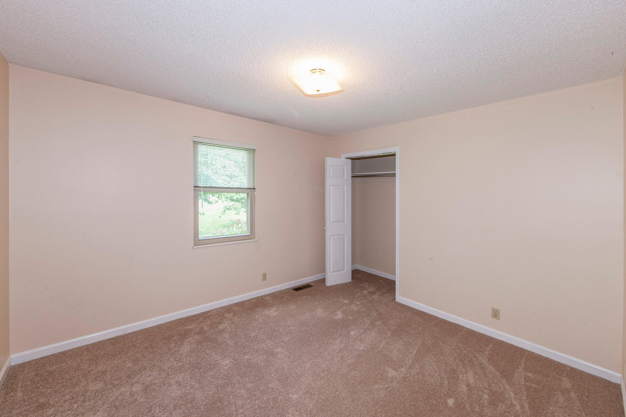 933 Tree Trunk Road Knoxville, TN 37934 - Photo 21 of 40 _54G3279w