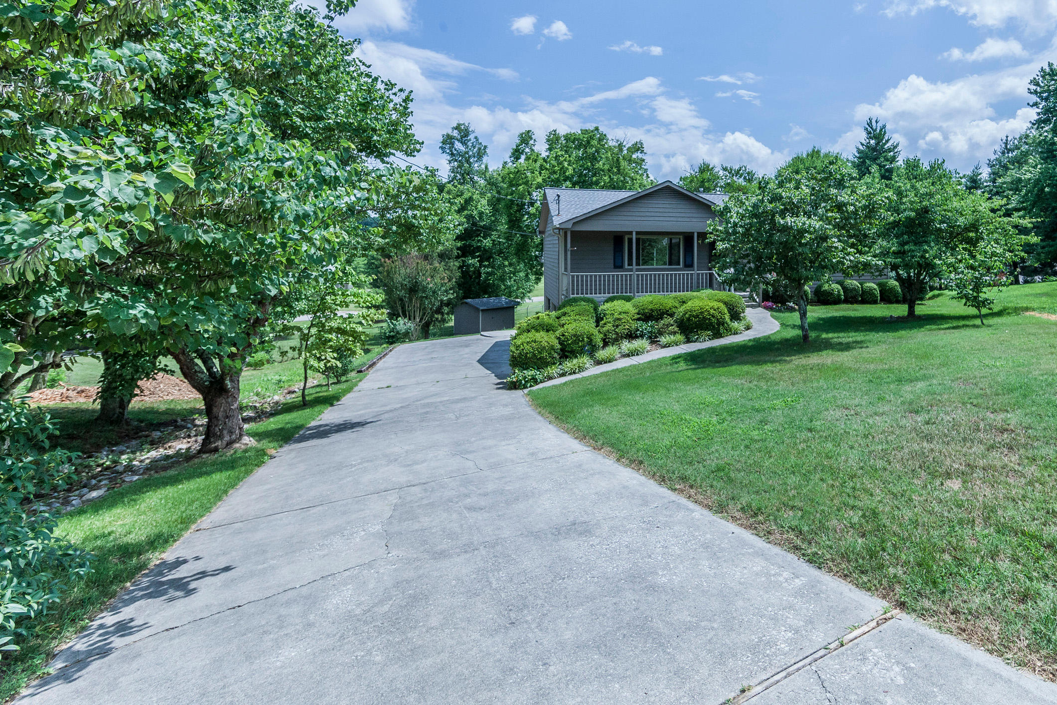 933 Tree Trunk Road Knoxville, TN 37934 - Photo 6 of 40 _54G3304w