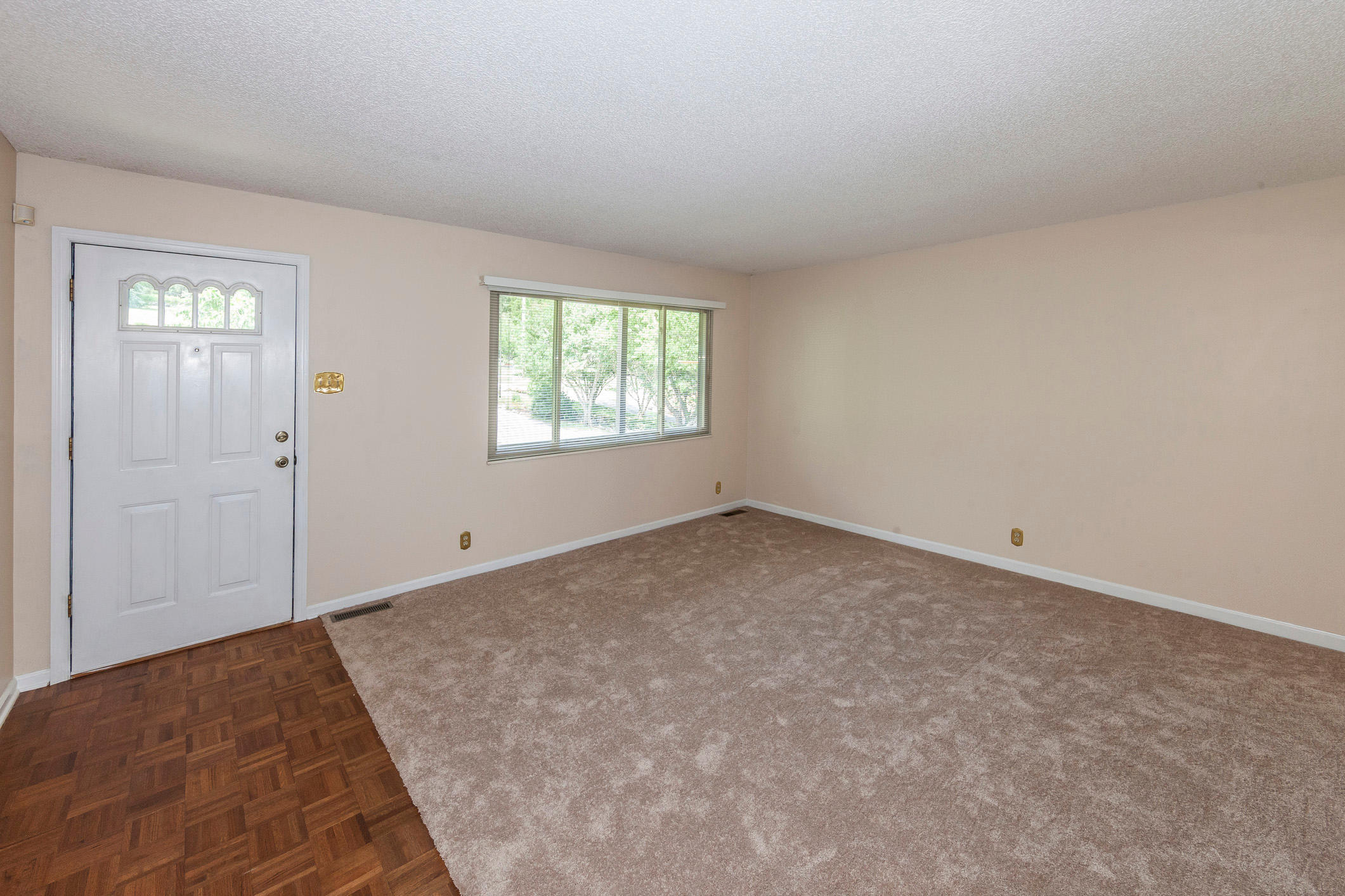 933 Tree Trunk Road Knoxville, TN 37934 - Photo 9 of 40 _54G3261w