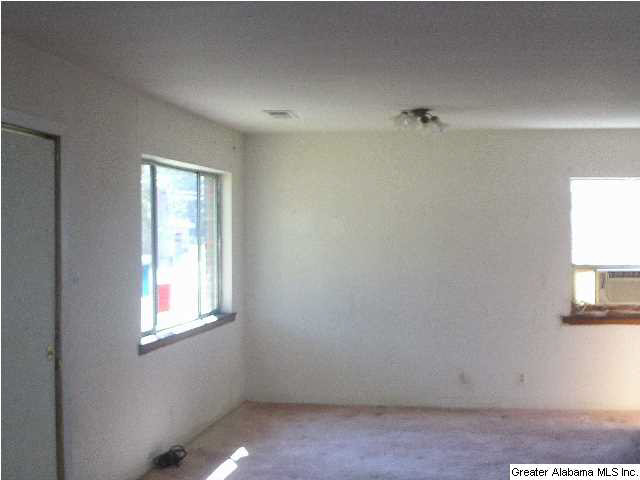 824 Mccary Street Birmingham, AL 35211 - Photo 4 of 12