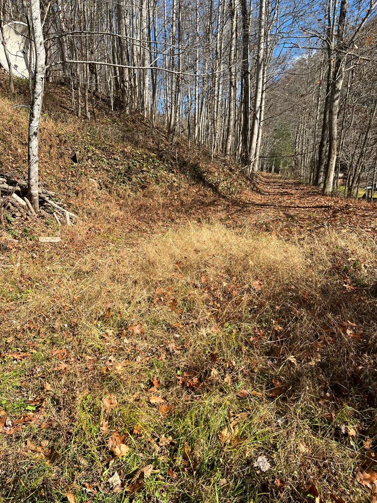 7813 Dry Fork Road North Tazewell, VA 24630 - Photo 10 of 44 Gallery Image 10