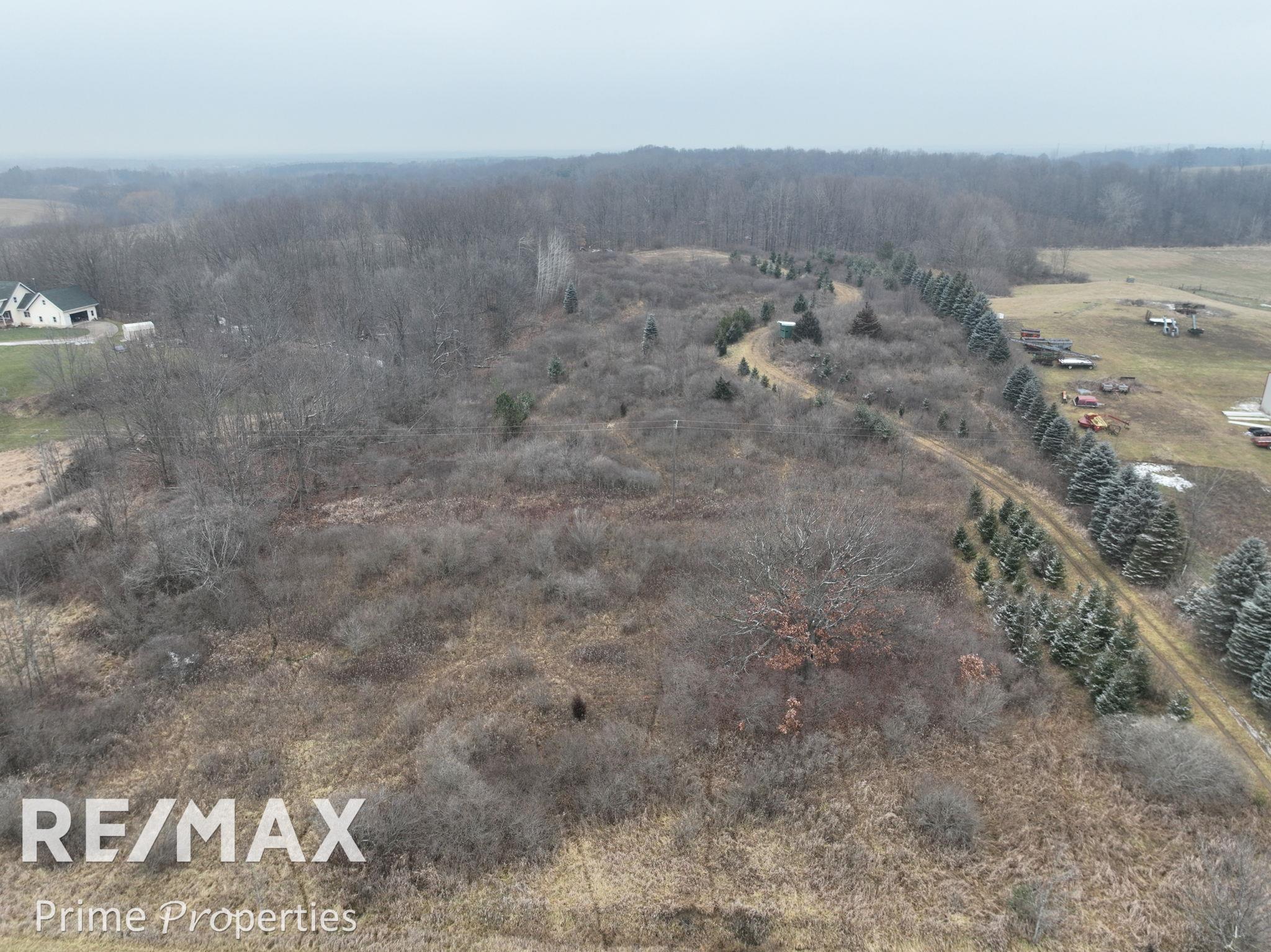 0 West Brown Road Mayville, MI 48744 - Photo 19 of 23 Gallery Image 19
