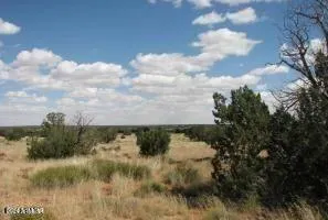 $12,900 | 19 T15n R16e, Heber, AZ 85928