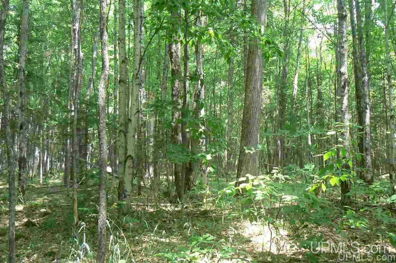 Tbd Finn's Spur Road Eben Junction, MI 49825 - Photo 5 of 7