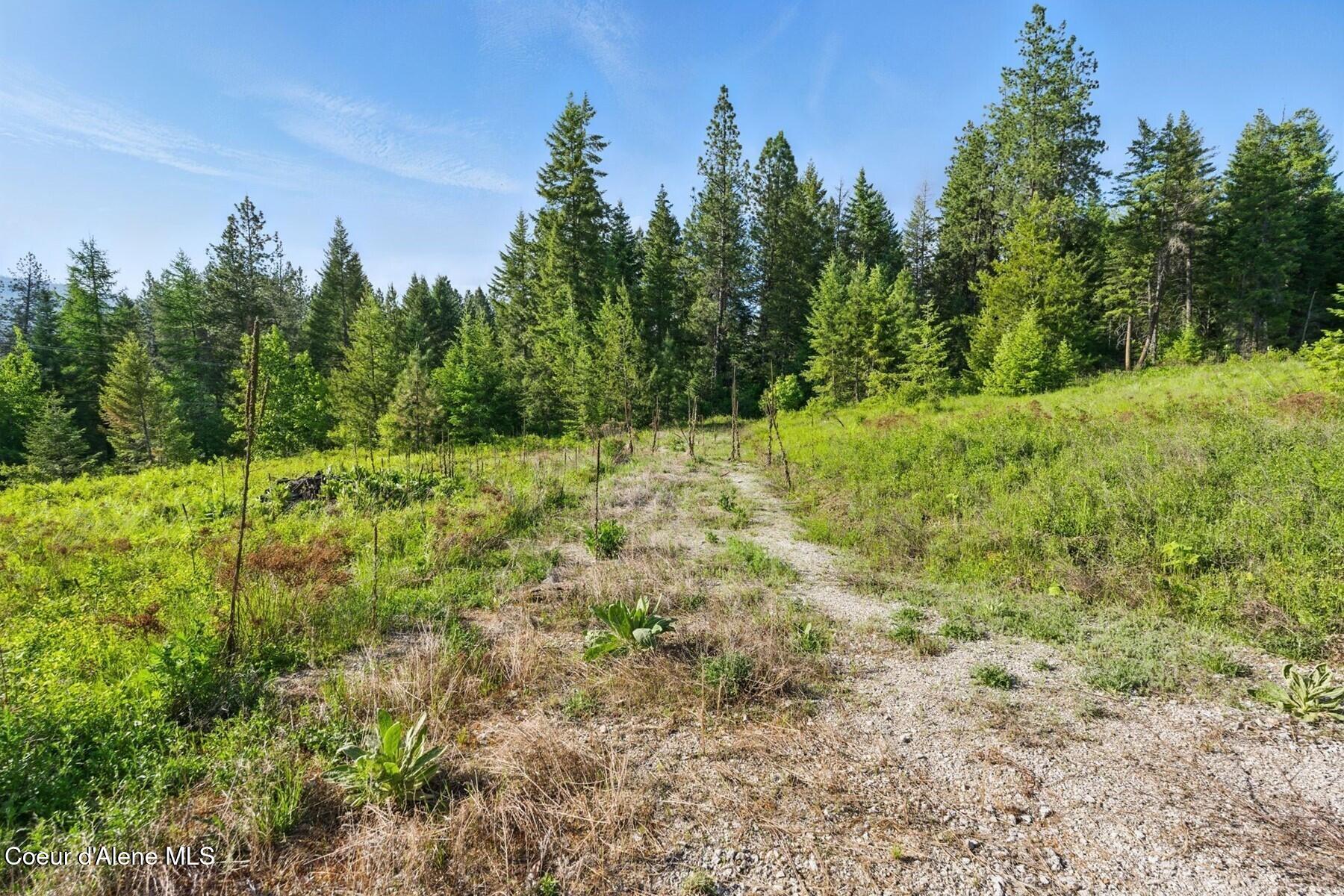 66 Beacon Hill Road Cocolalla, ID 83813 - Photo 12 of 20 Continuation of Beacon Hill Road