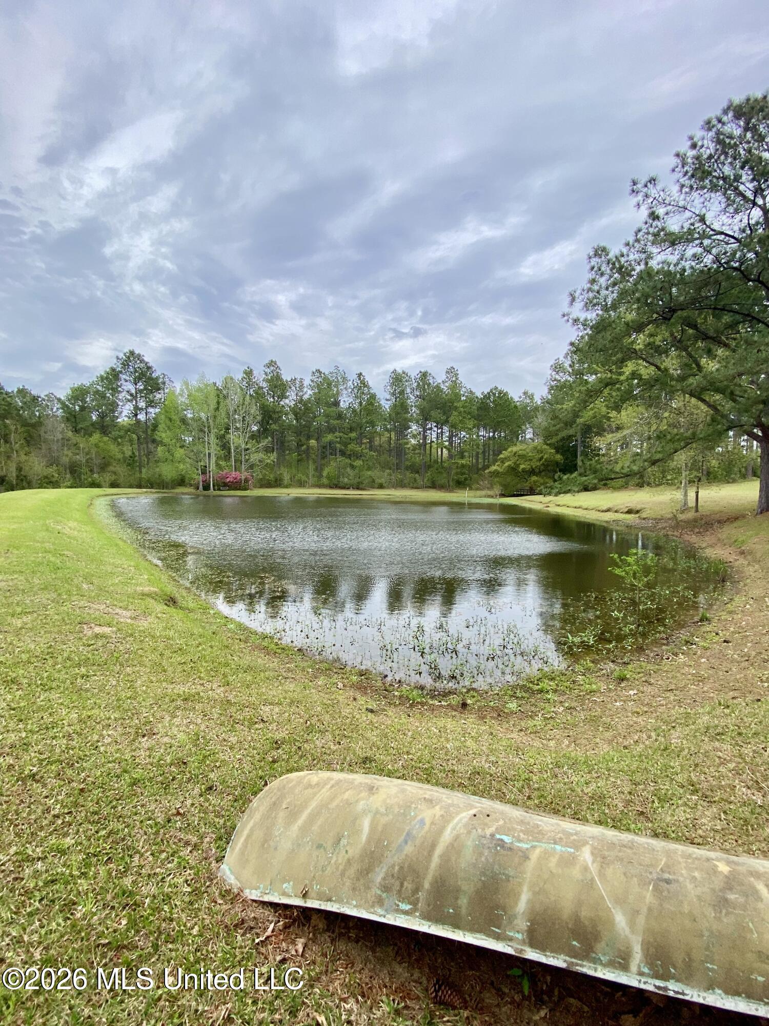 299 Quitman Perry Road Carriere, MS 39426 - Photo 71 of 73 71, Pond, IMG_2854