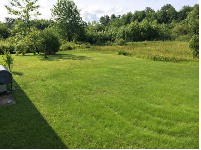 45 Storer Road Brunswick, ME 04011 - Photo 11 of 14 Land/Lot. The back yard is pleasant,...