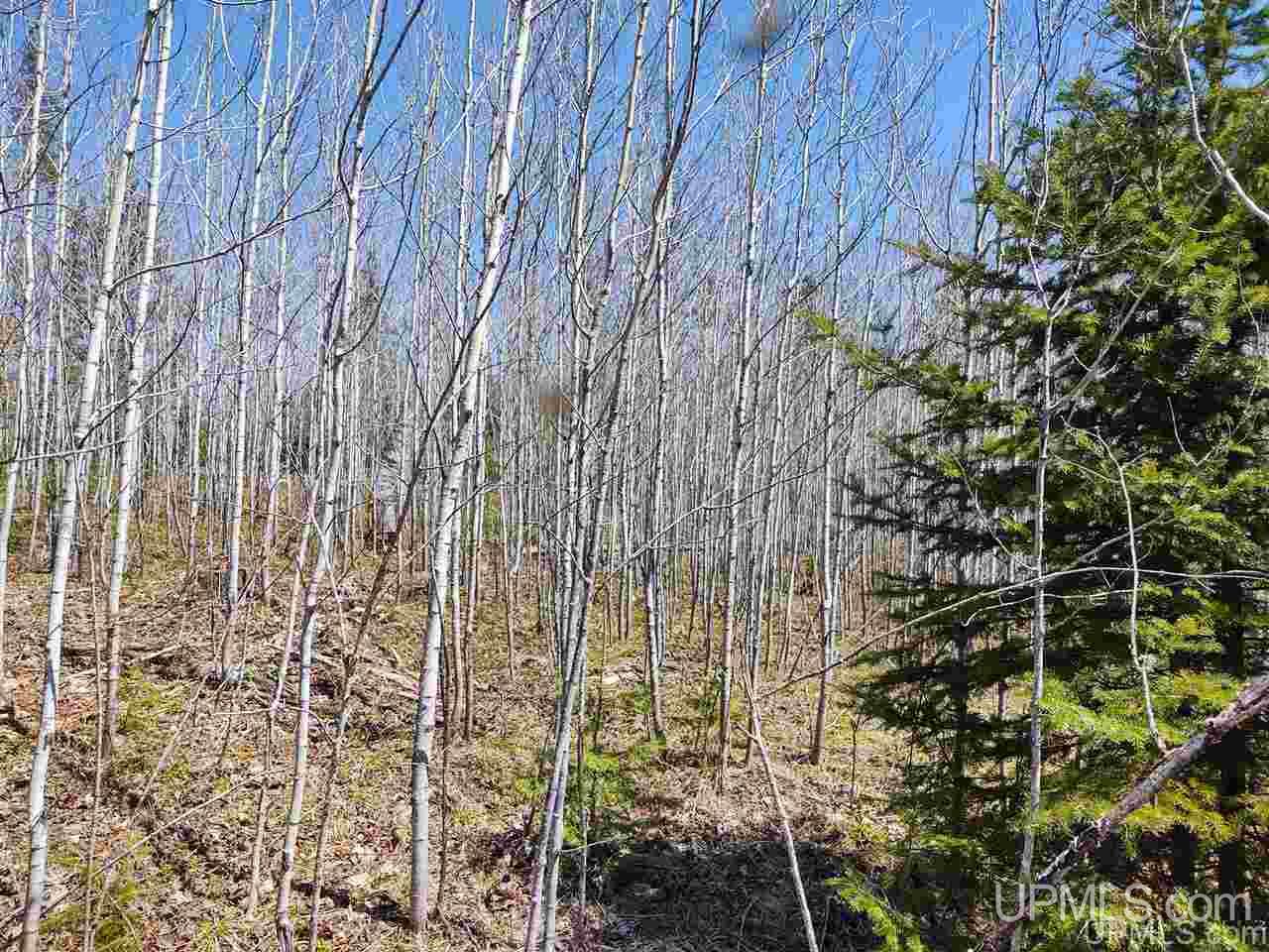 Tbd Forest Hwy 16 Road Iron River, MI 49935 - Photo 23 of 49