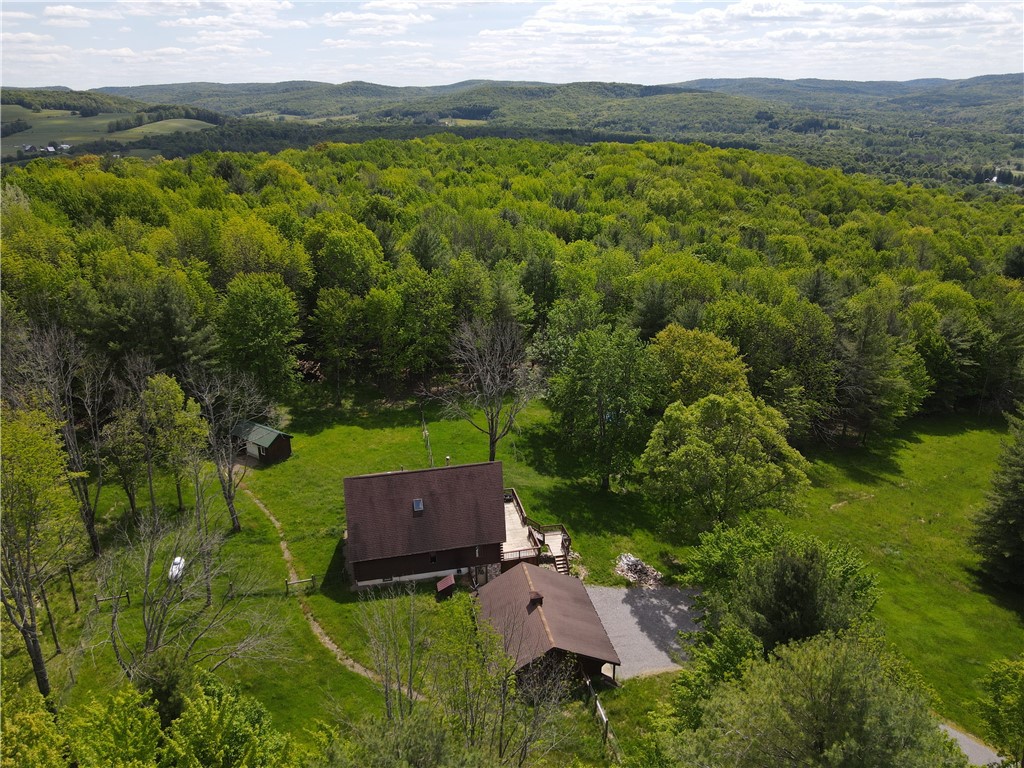 6943 Howard Road Friendship, NY 14739 - Photo 4 of 50
