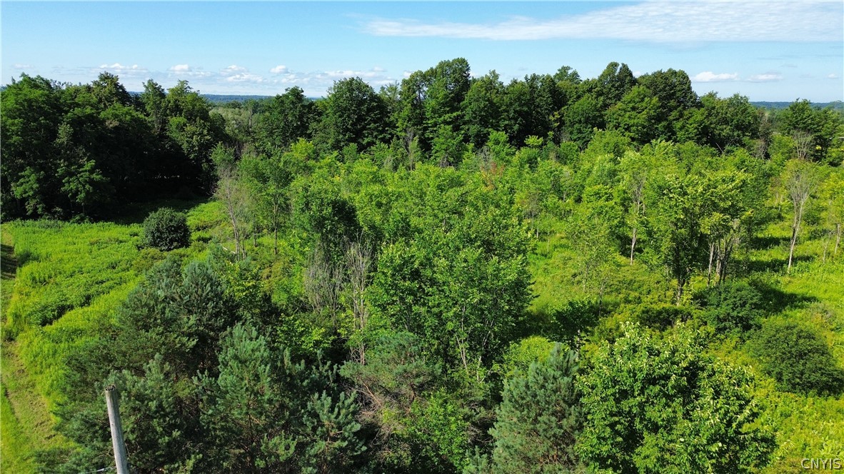 Rockbrook Road Evans Mills, NY 13637 - Photo 4 of 5