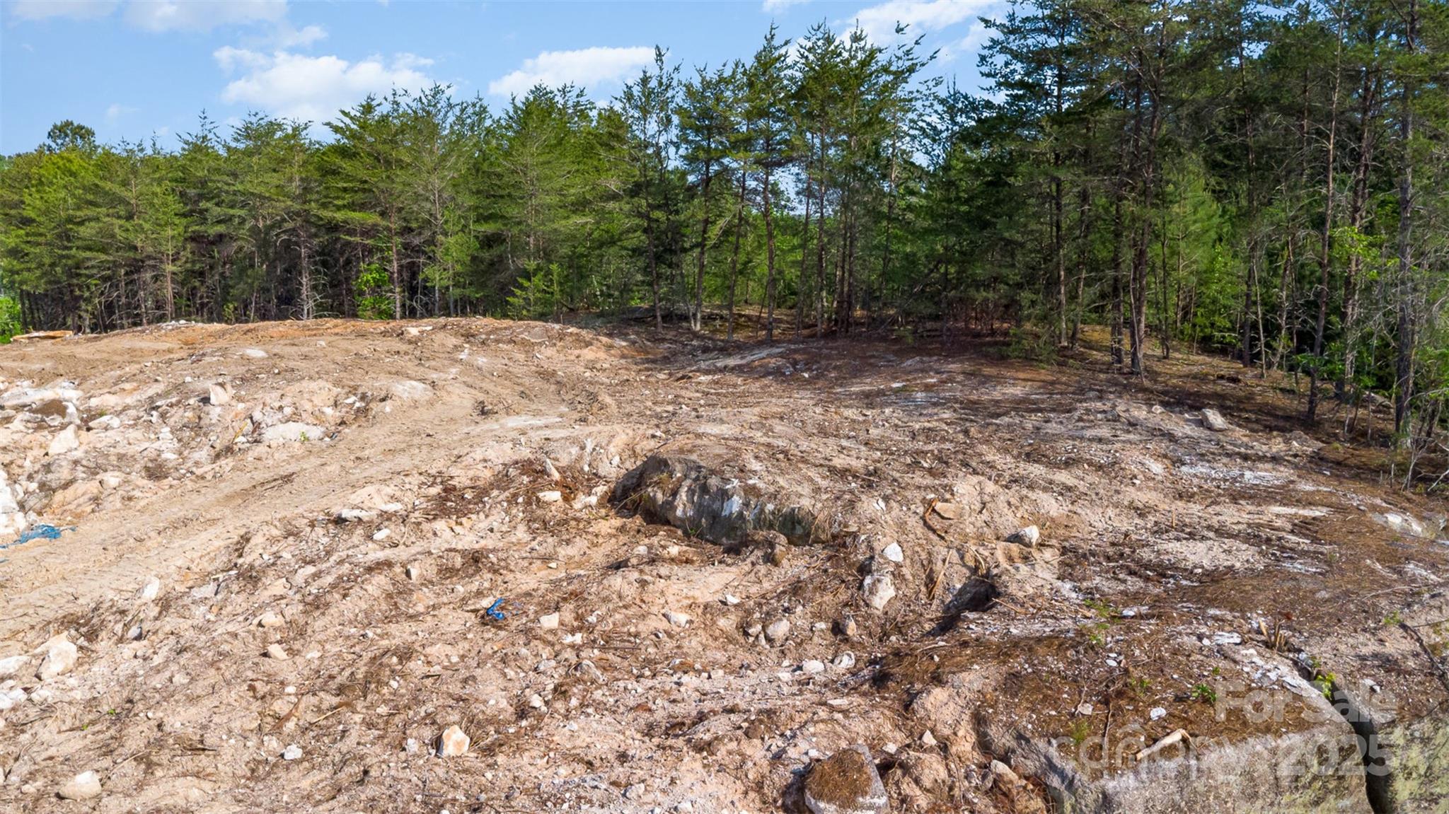 0 Pump Station Road Kannapolis, NC 28081 - Photo 11 of 14 a view of a yard with a tree