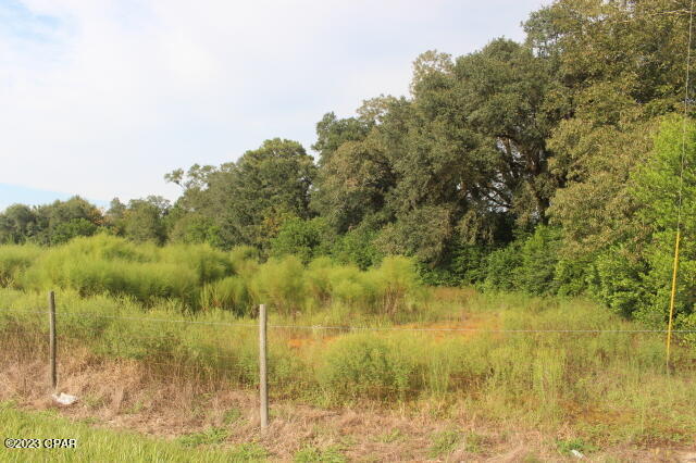 5506 Friendship Church Road Malone, FL 32445 - Photo 64 of 67