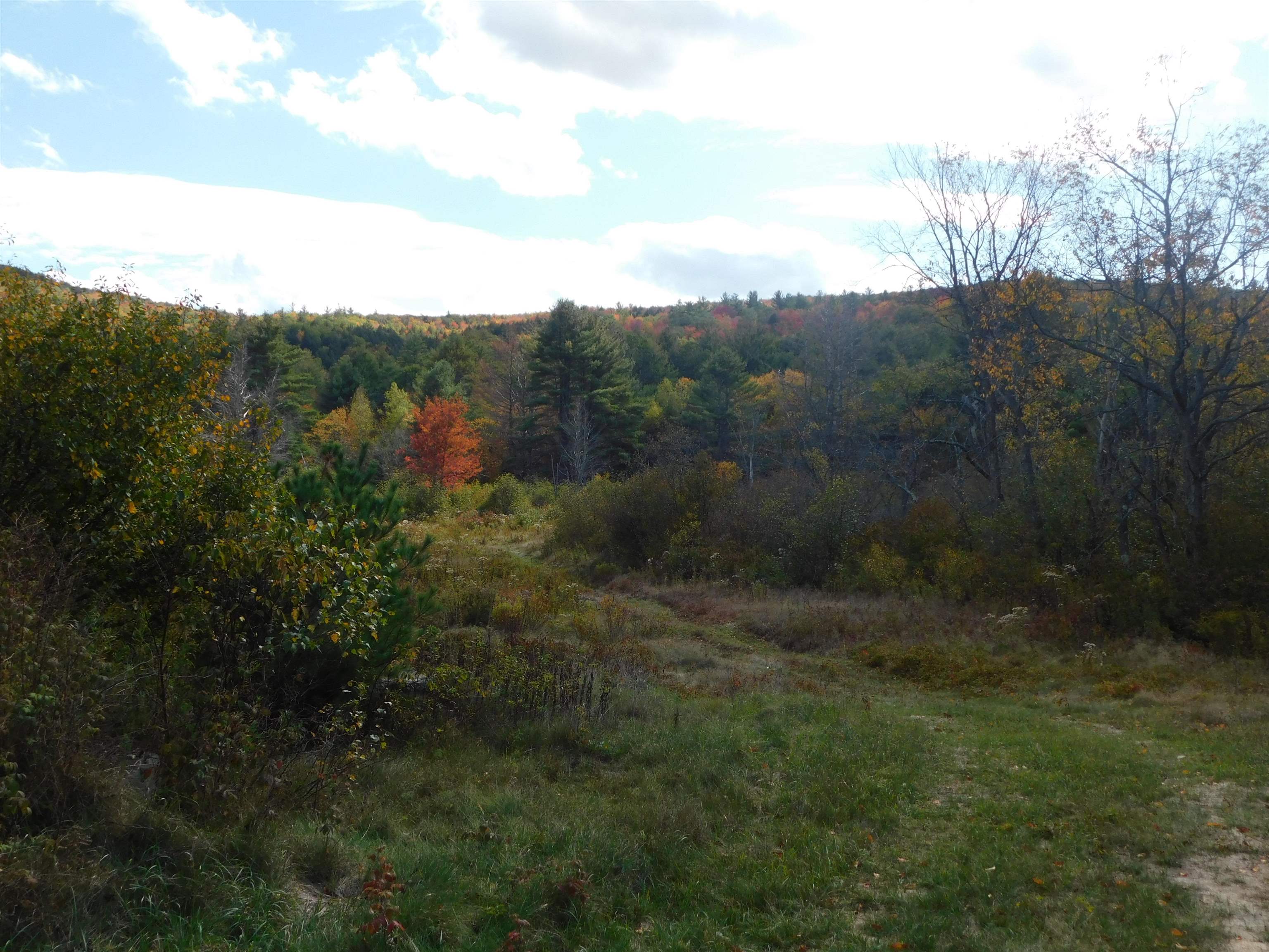31 Hoyt Road Grafton, NH 03240 - Photo 14 of 38 Gallery Image 14