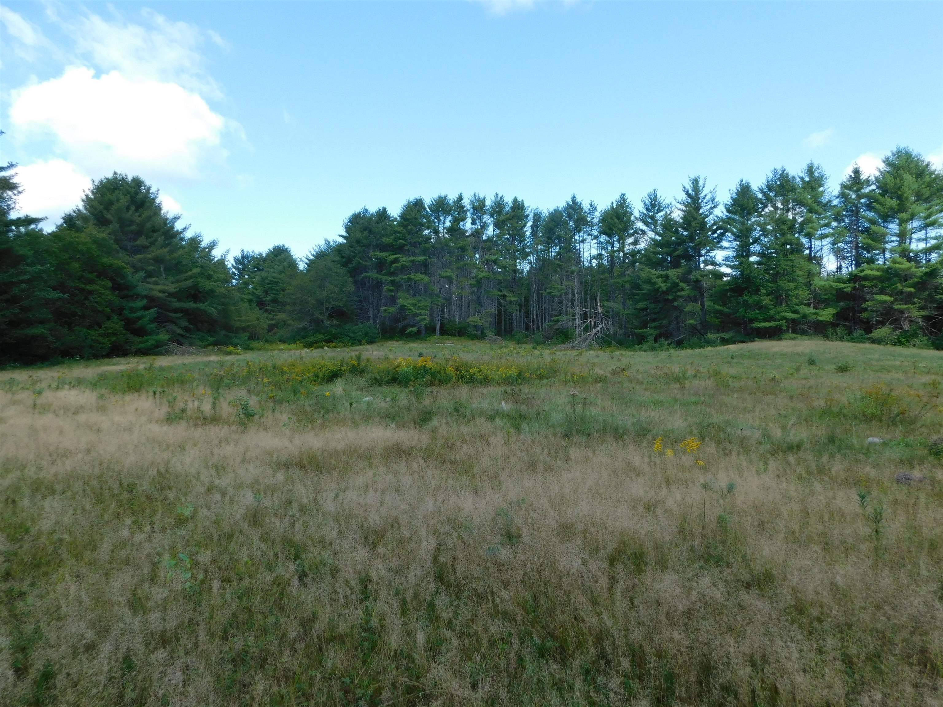 31 Hoyt Road Grafton, NH 03240 - Photo 16 of 38 Gallery Image 16