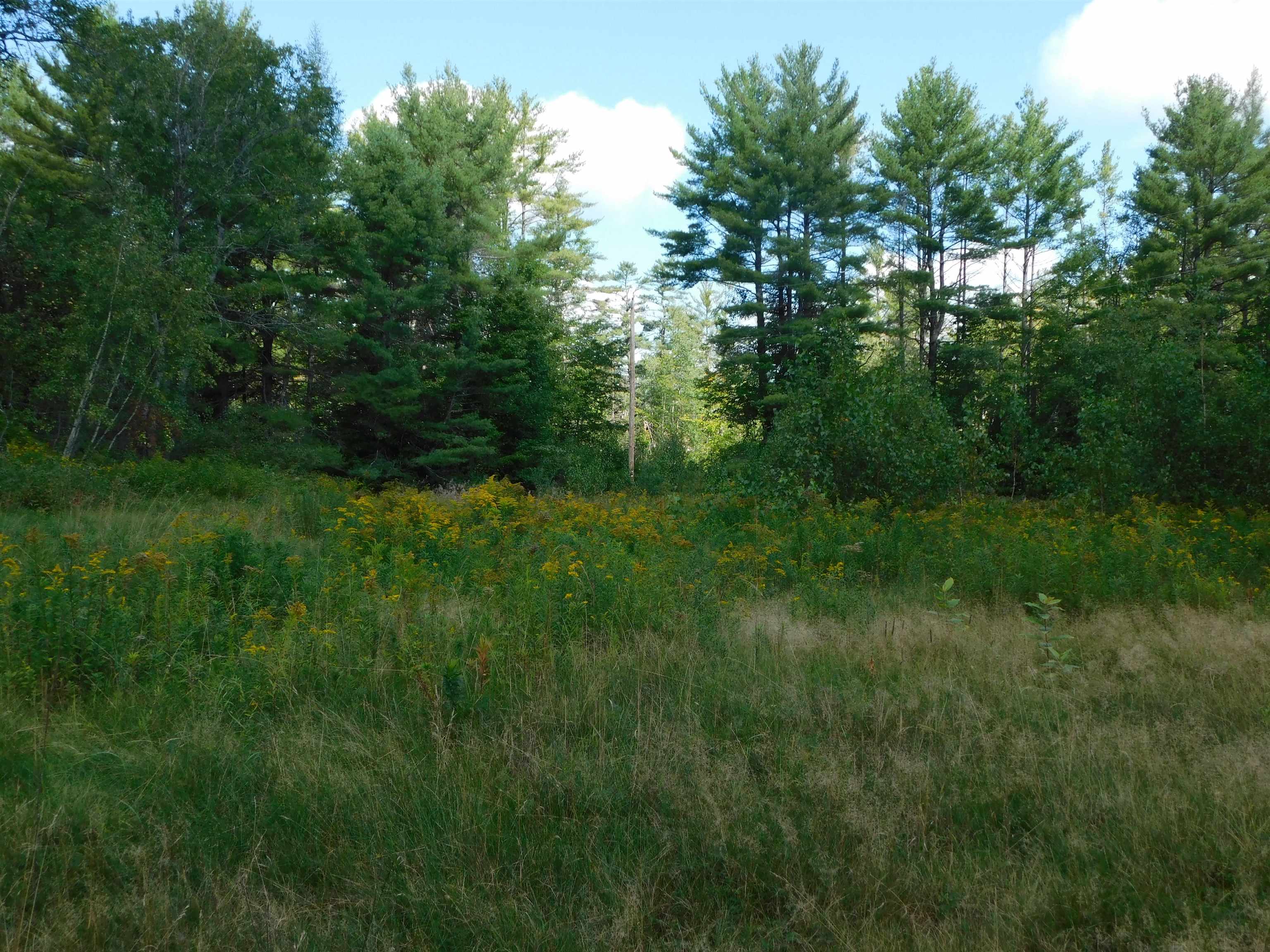 31 Hoyt Road Grafton, NH 03240 - Photo 27 of 38 Gallery Image 27