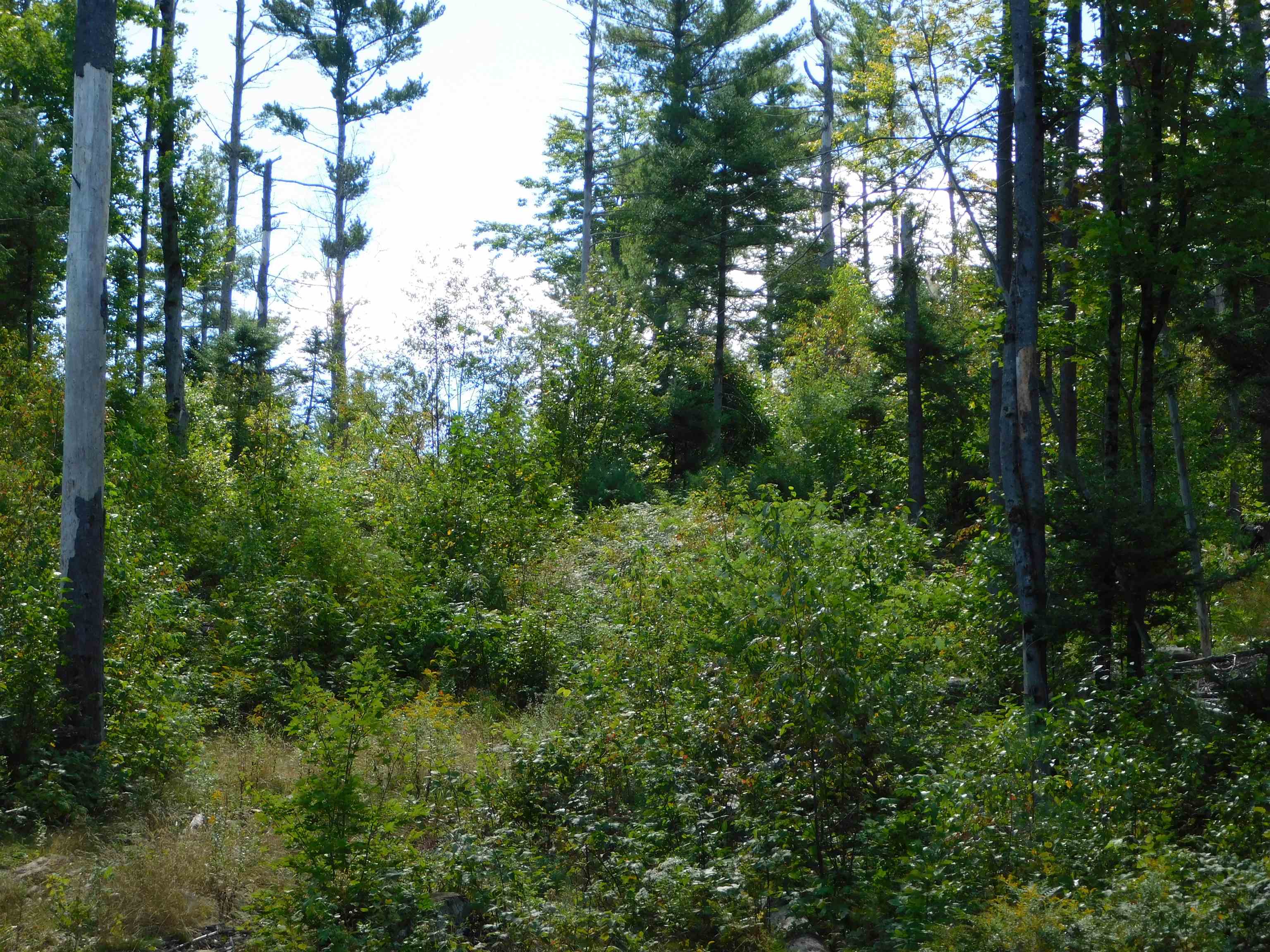 31 Hoyt Road Grafton, NH 03240 - Photo 34 of 38 Gallery Image 34