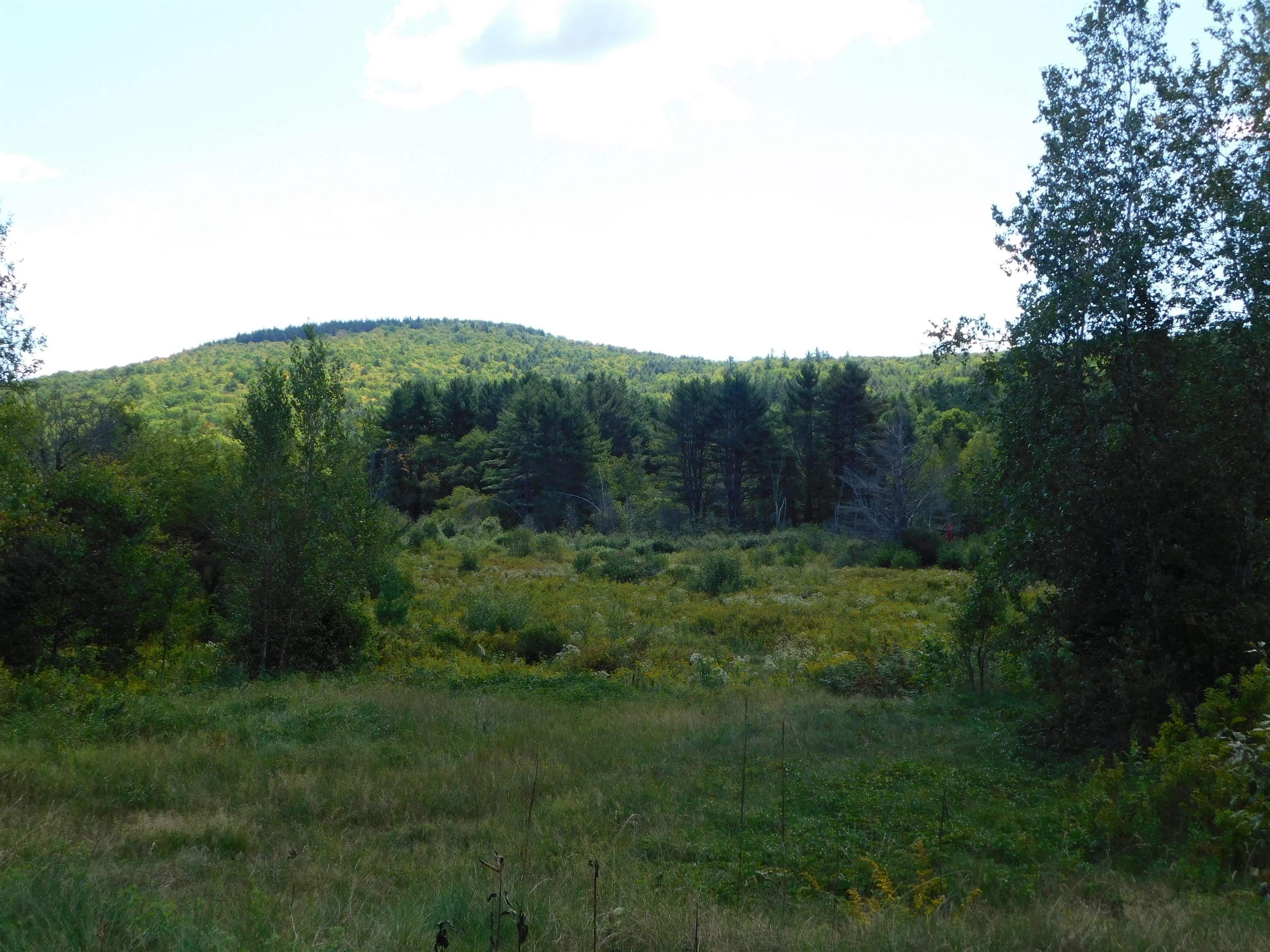 31 Hoyt Road Grafton, NH 03240 - Photo 7 of 38 Gallery Image 7